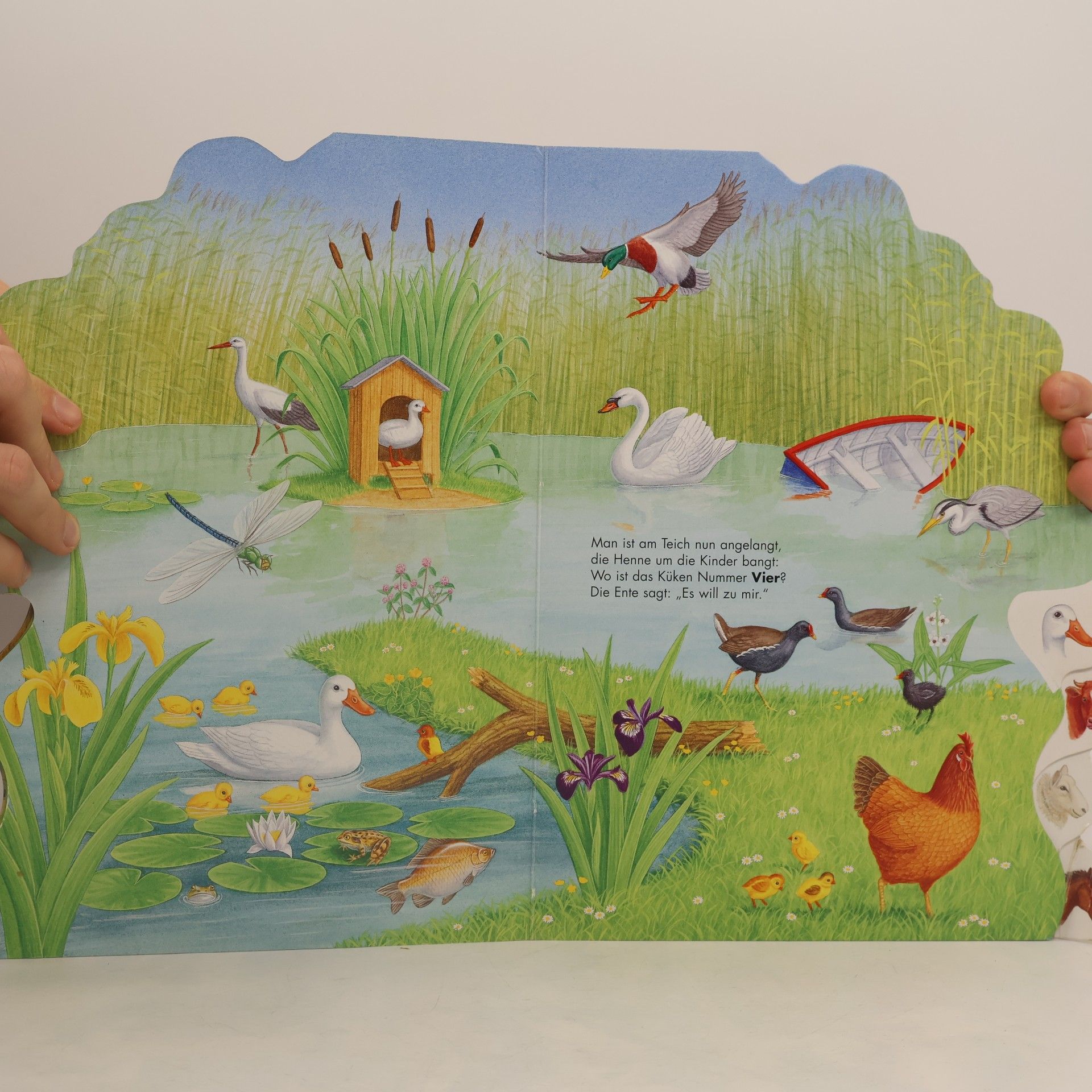 Bob Bampton 10 kleine Tierkinder