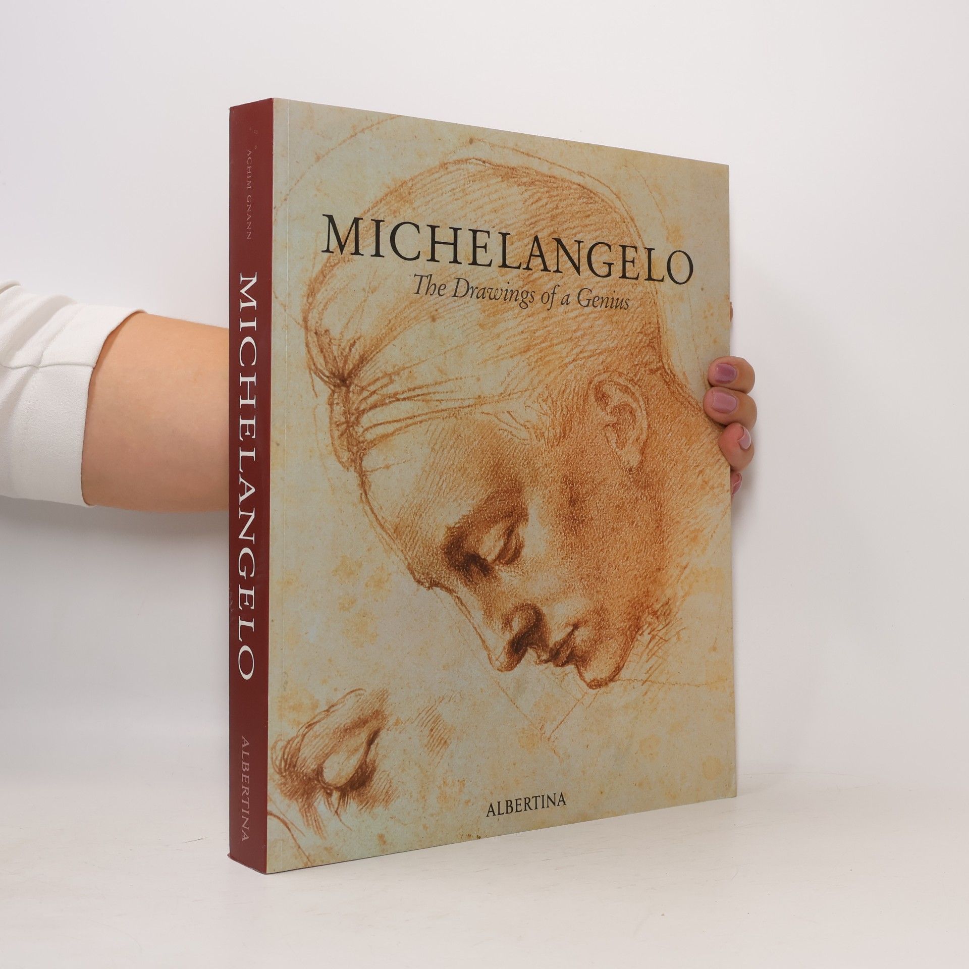Michelangelo - The Drawings of a Genius