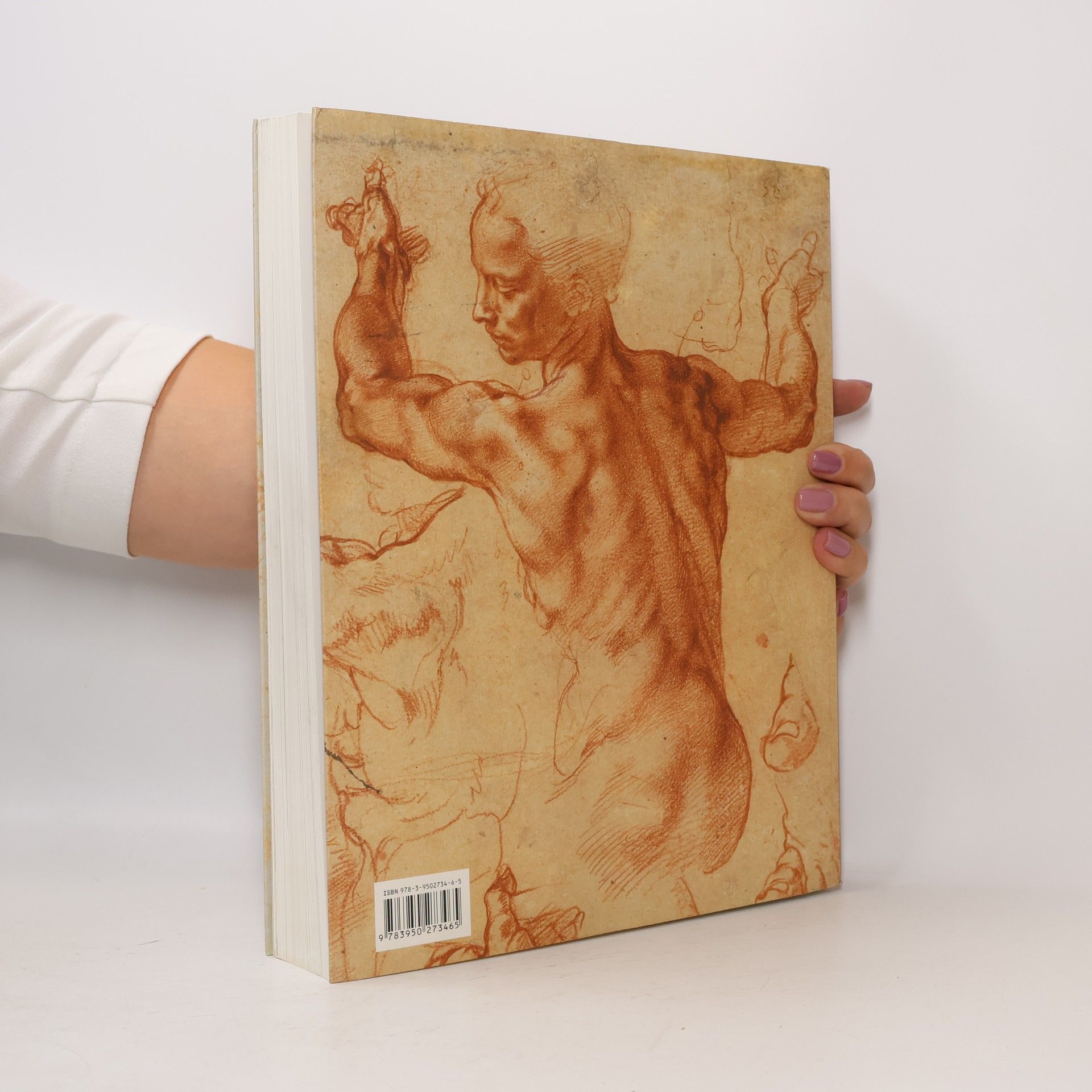 Michael Köhler Michelangelo - The Drawings of a Genius