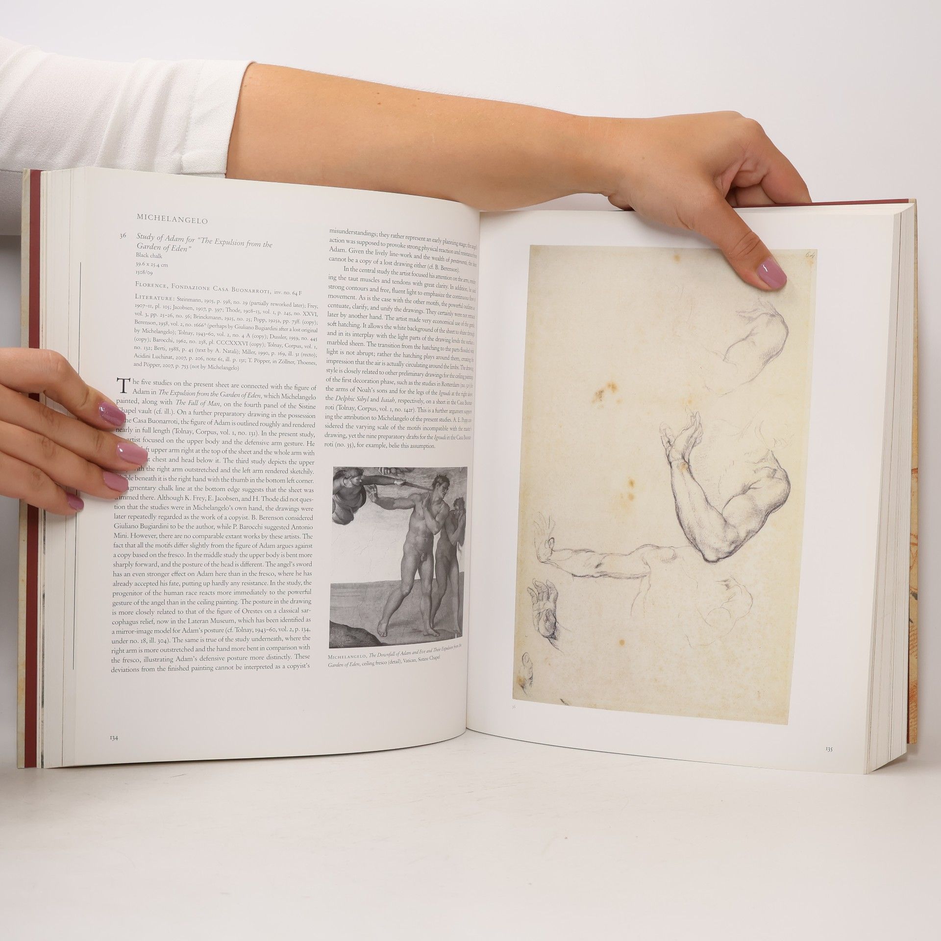 Michael Köhler Michelangelo - The Drawings of a Genius