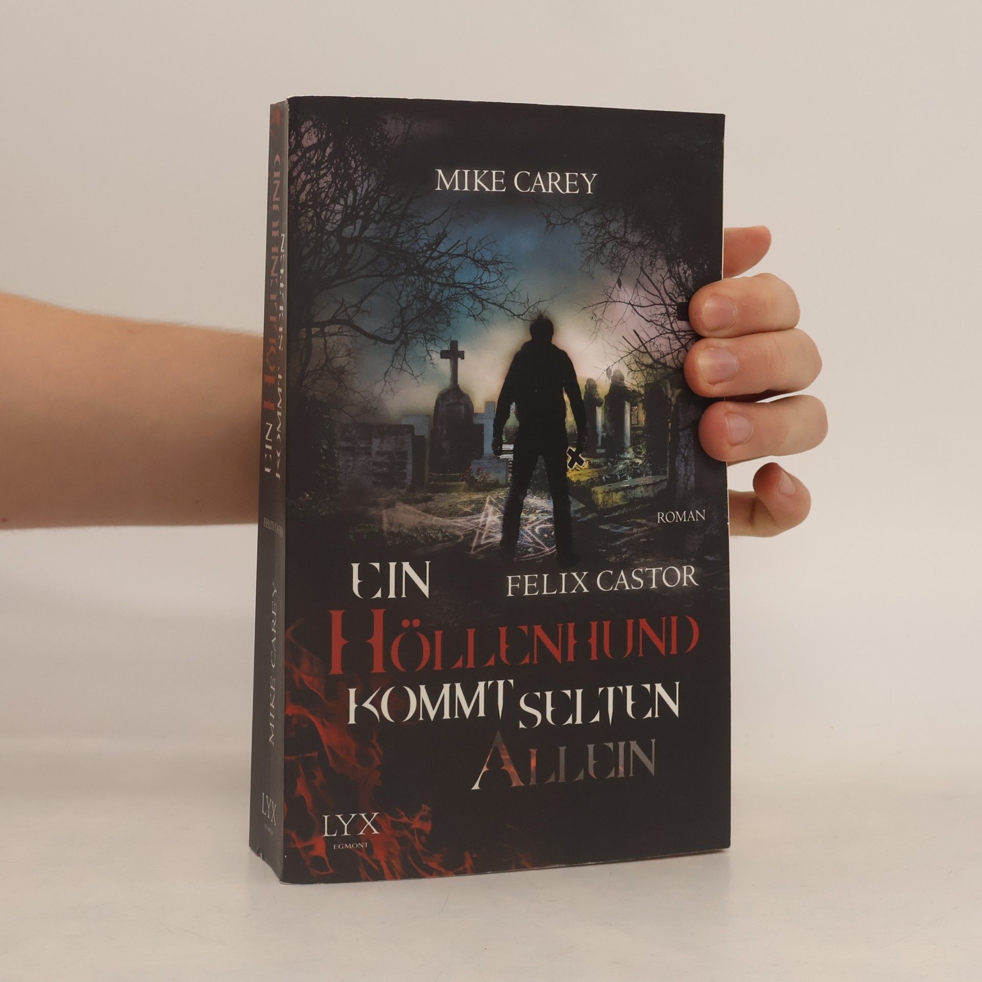 M. R. Carey Ein Höllenhund kommt selten allein