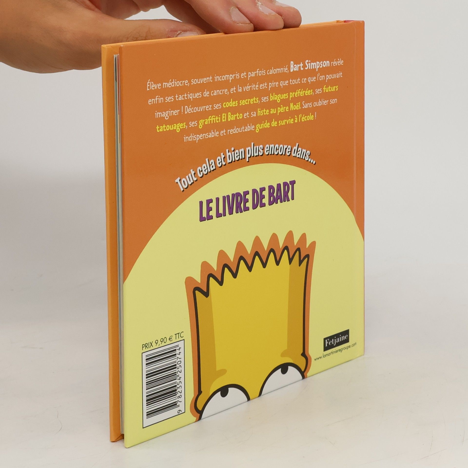 Matt Groening Le Livre de Bart