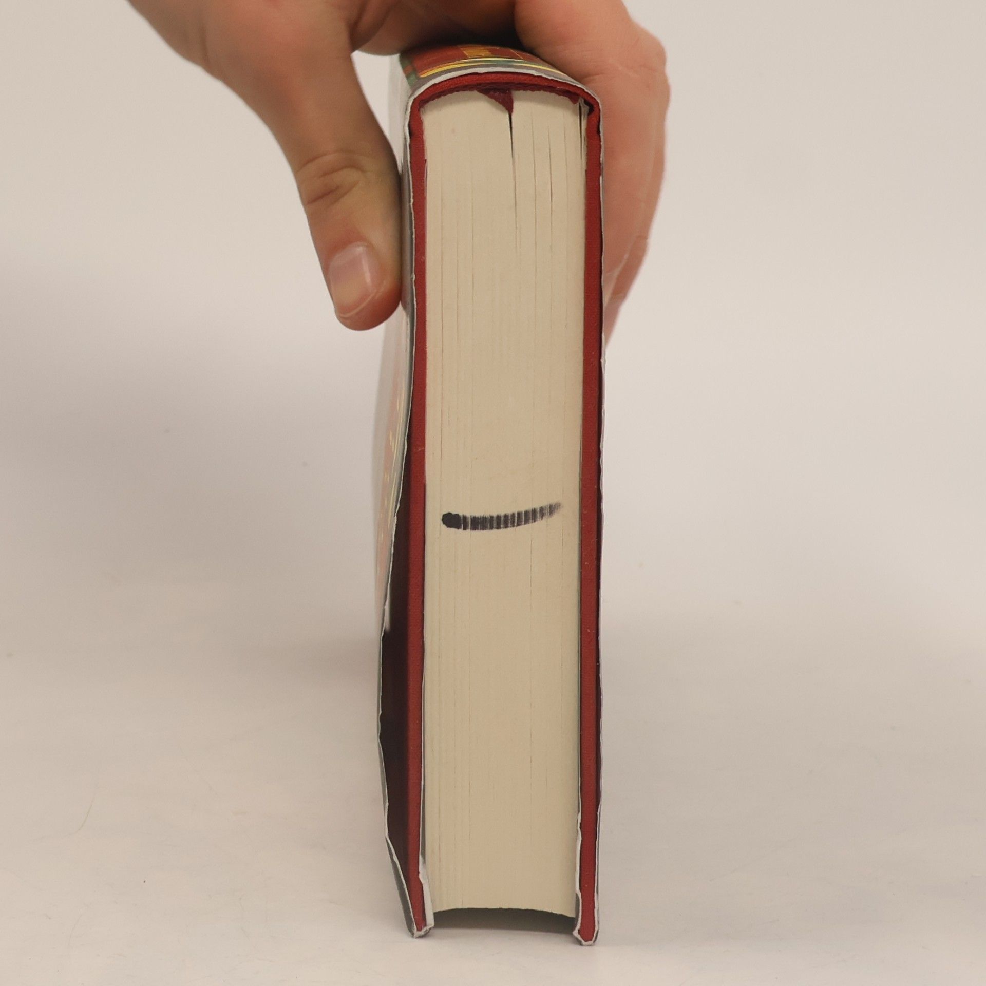 Richard Wagamese Hüter der Trommel