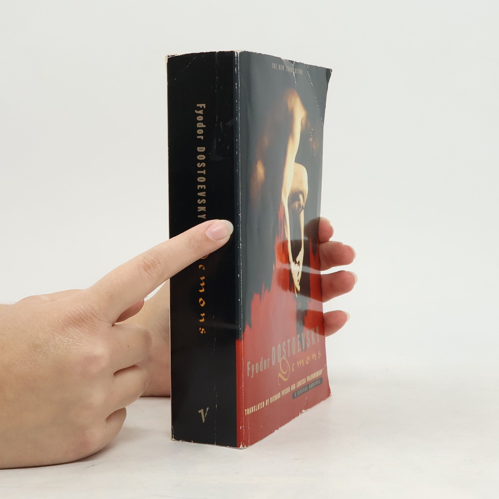 Fjodor Michailowitsch Dostojewski Demons