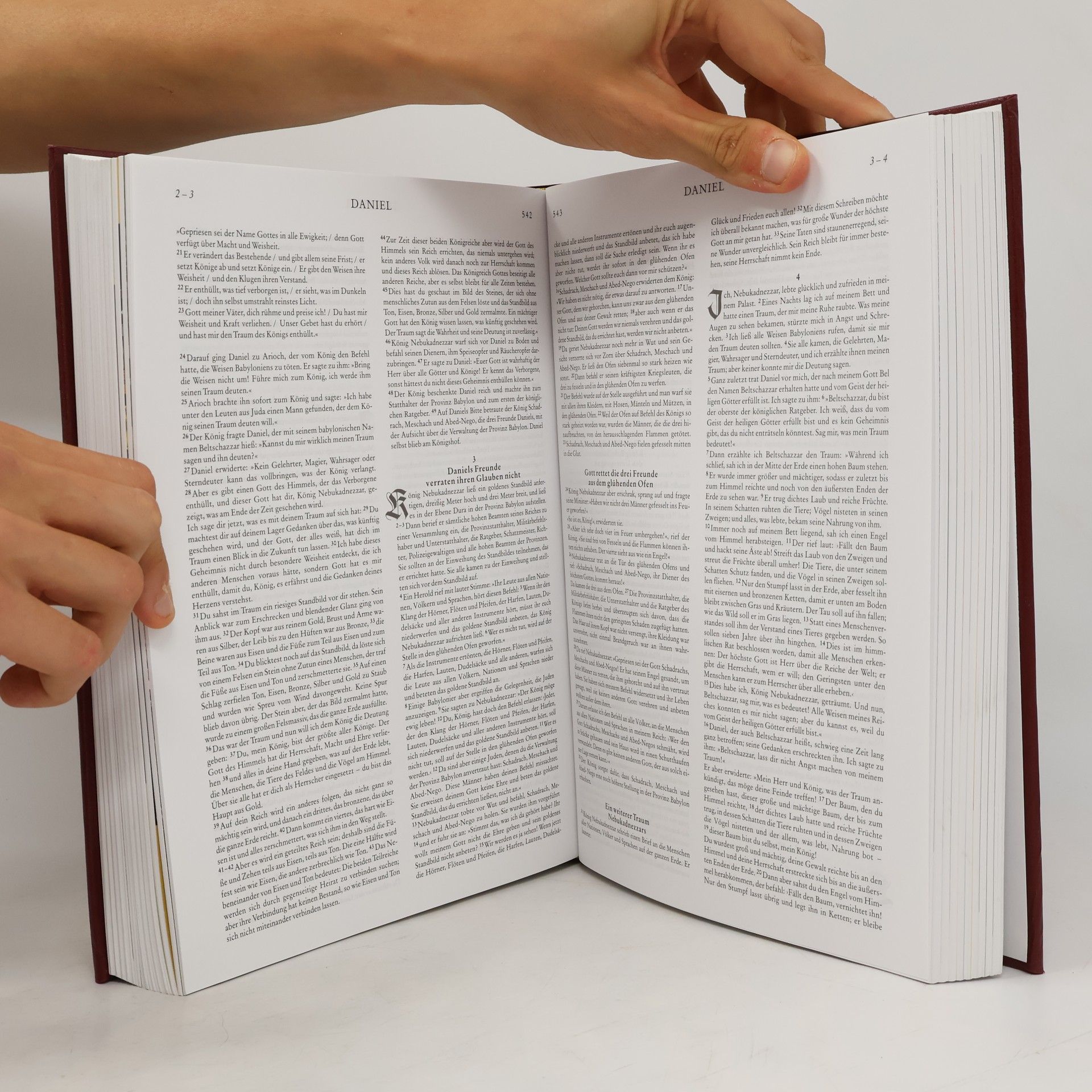 kolektiv Die Bibel