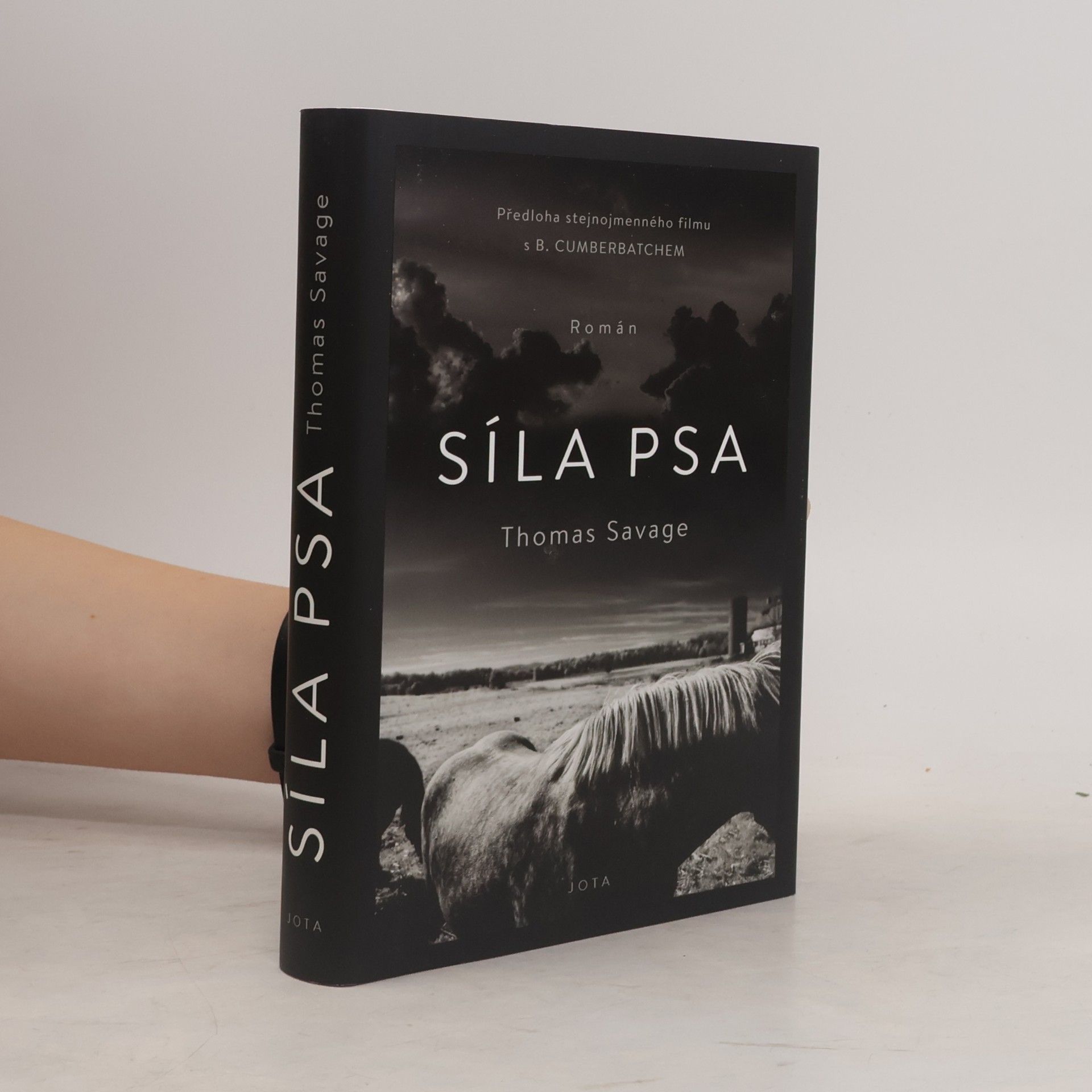 Thomas Savage Síla psa