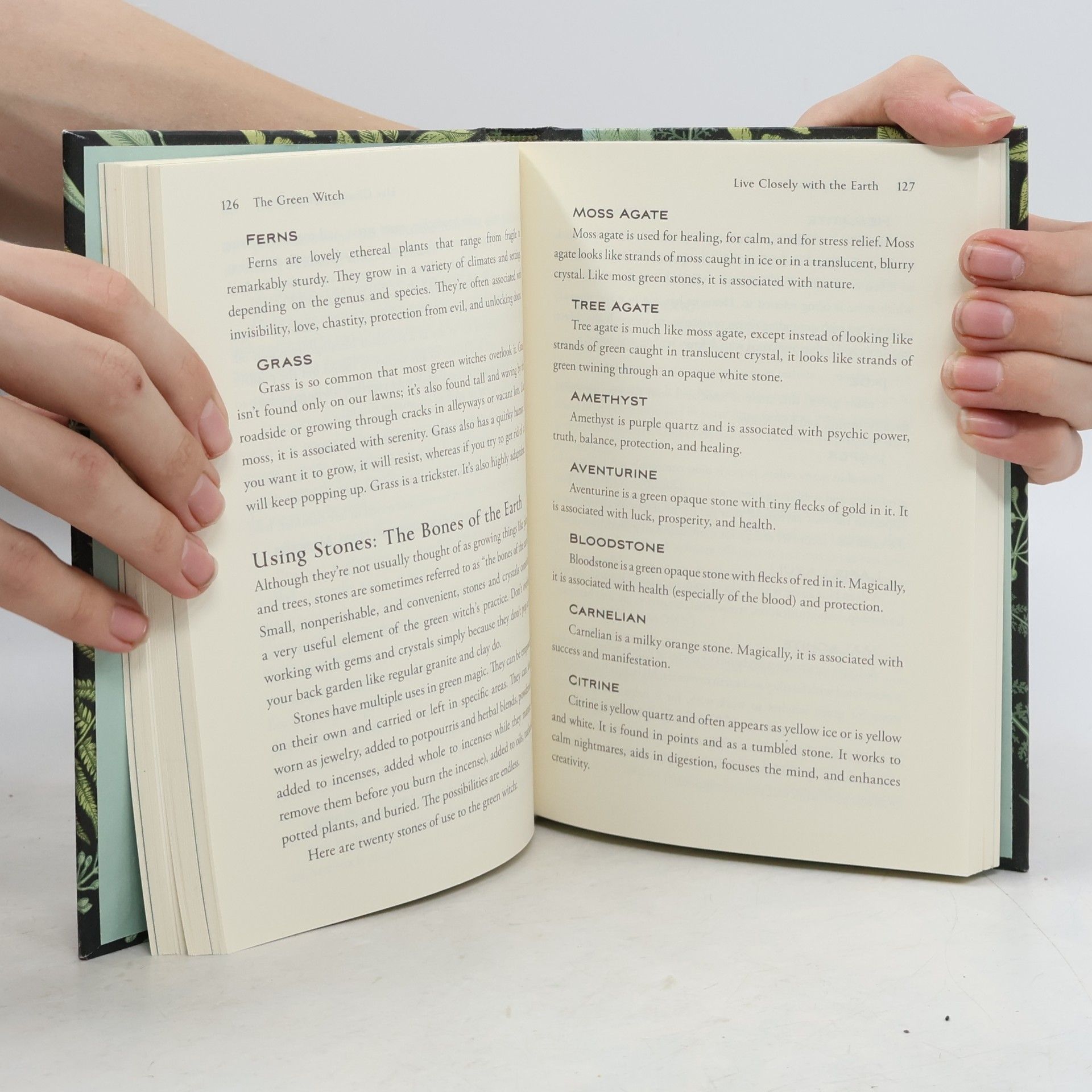 Arin Murphy-Hiscock The Green Witch