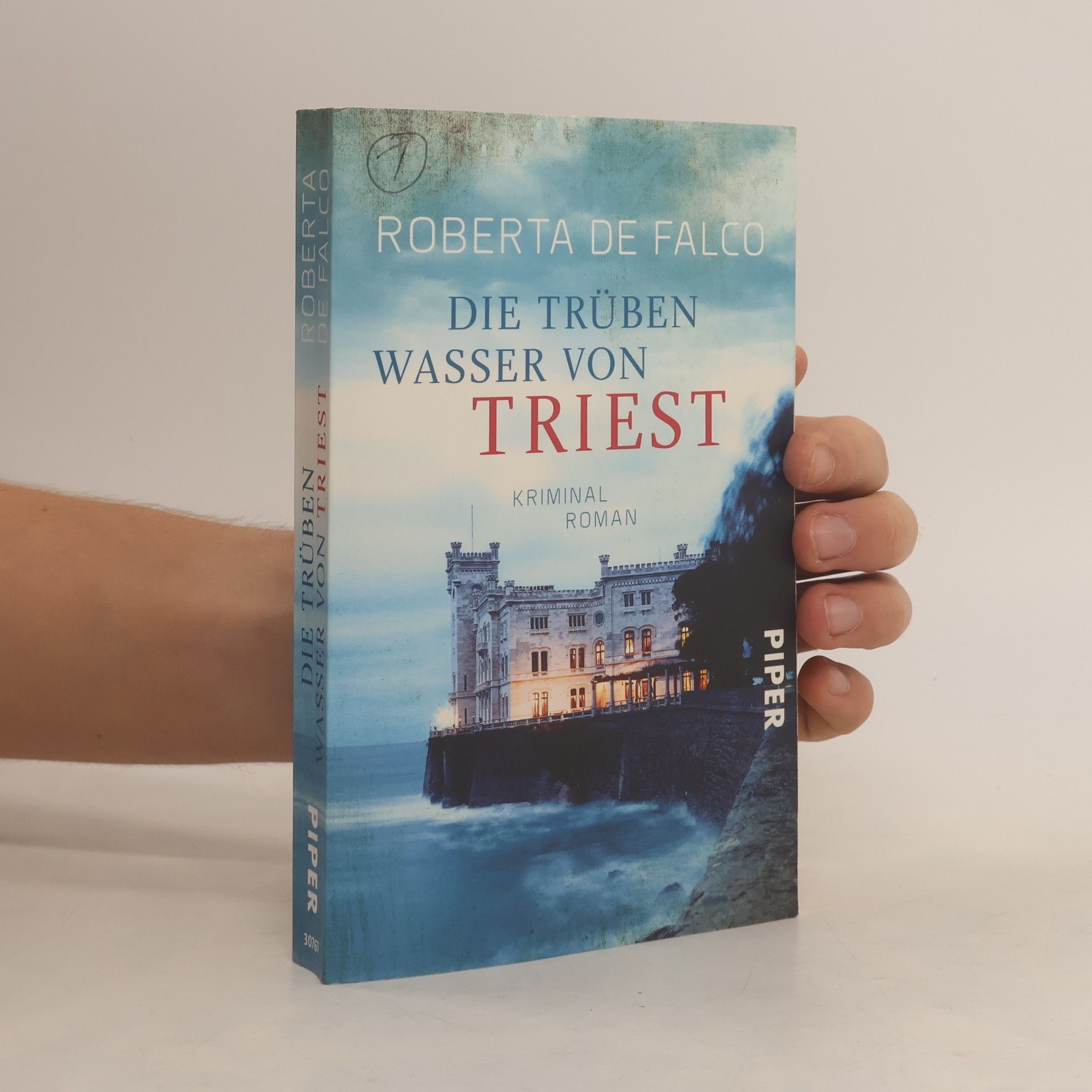 Roberta de Falco Die trüben Wasser von Triest