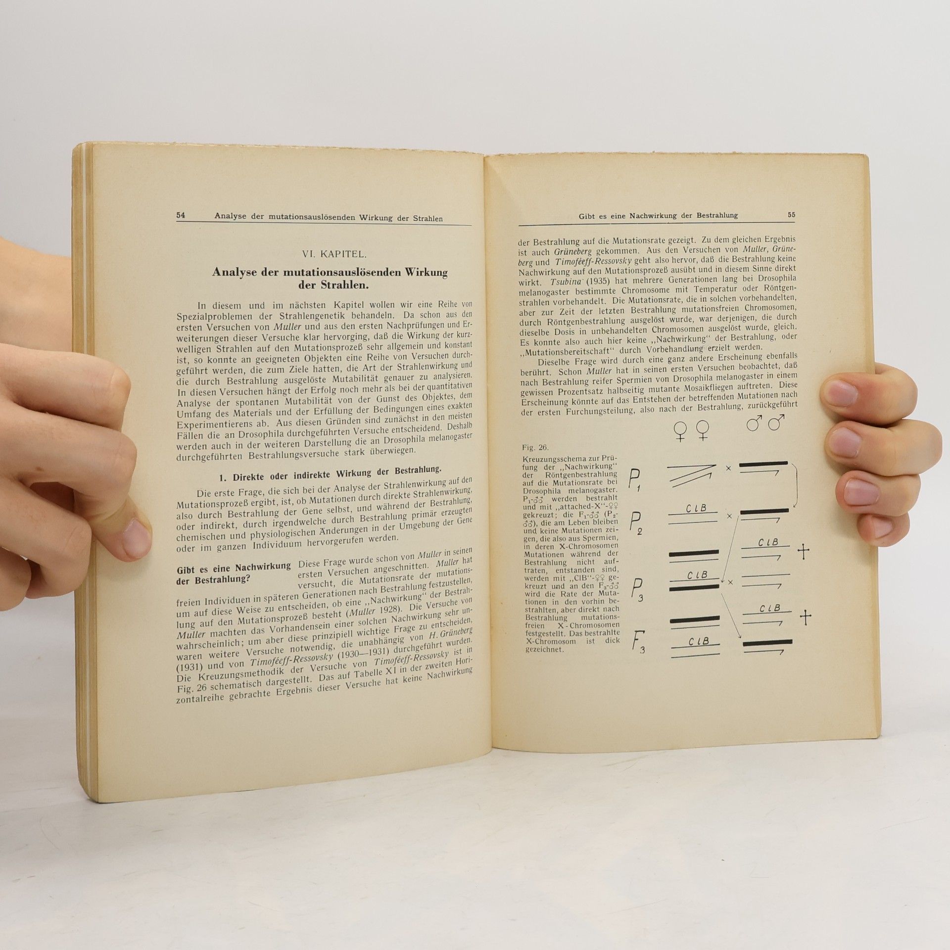 Autorenkollektiv Experimentelle Mutationsforschung in der Vererbungslehre