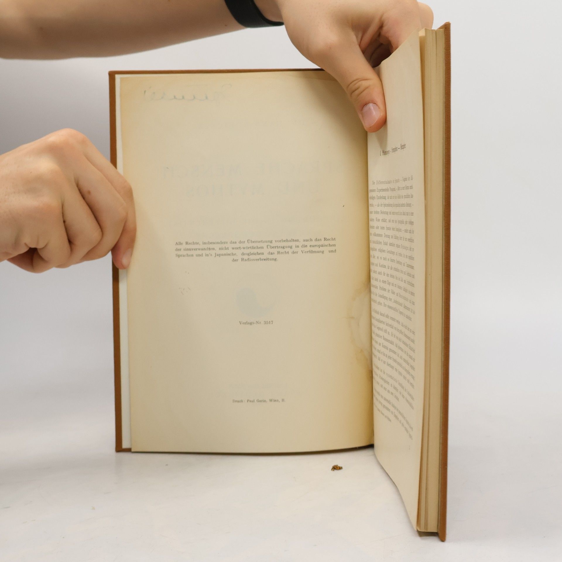 Hans Robicsek Sprache Mensch und Mythos