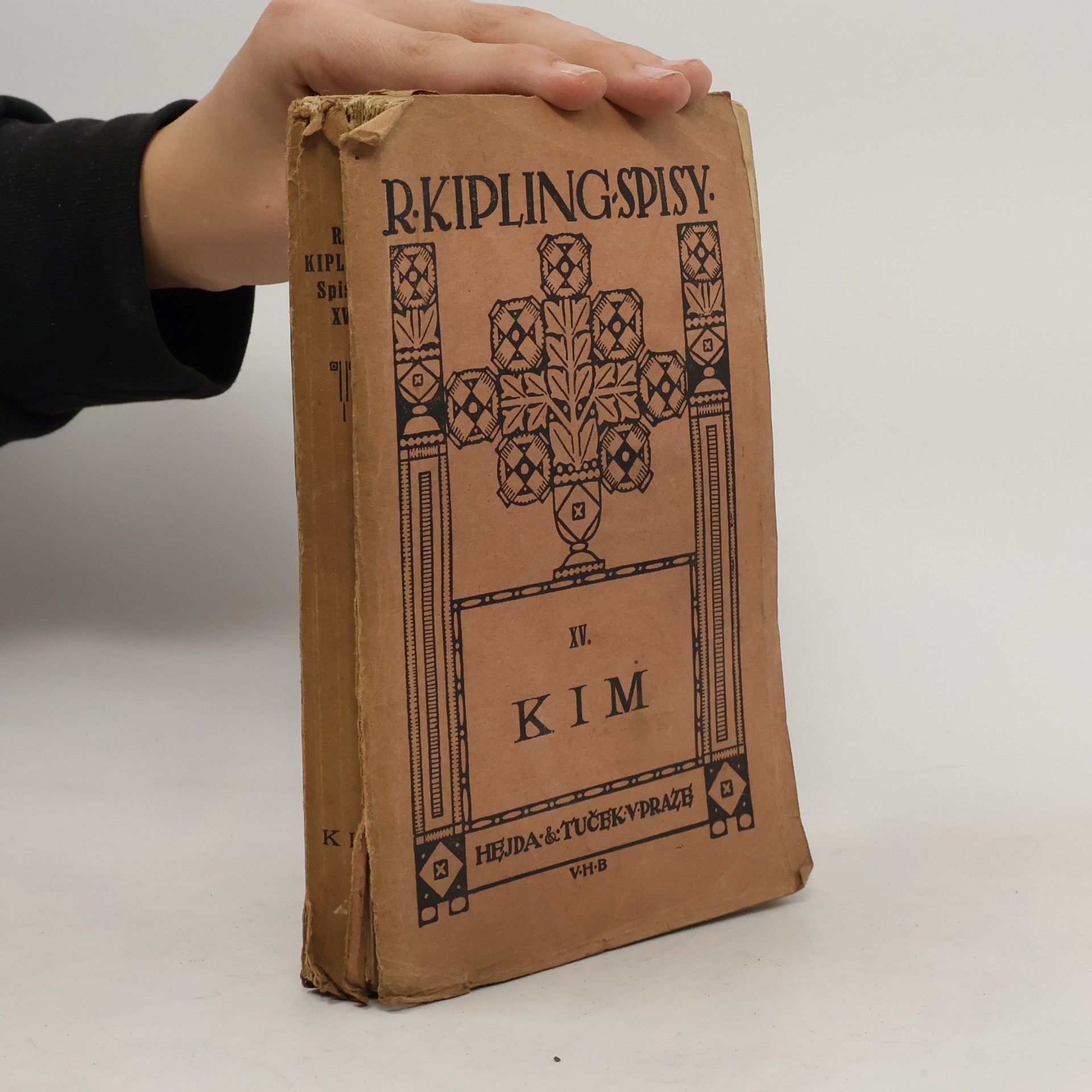 Rudyard Kipling Kim