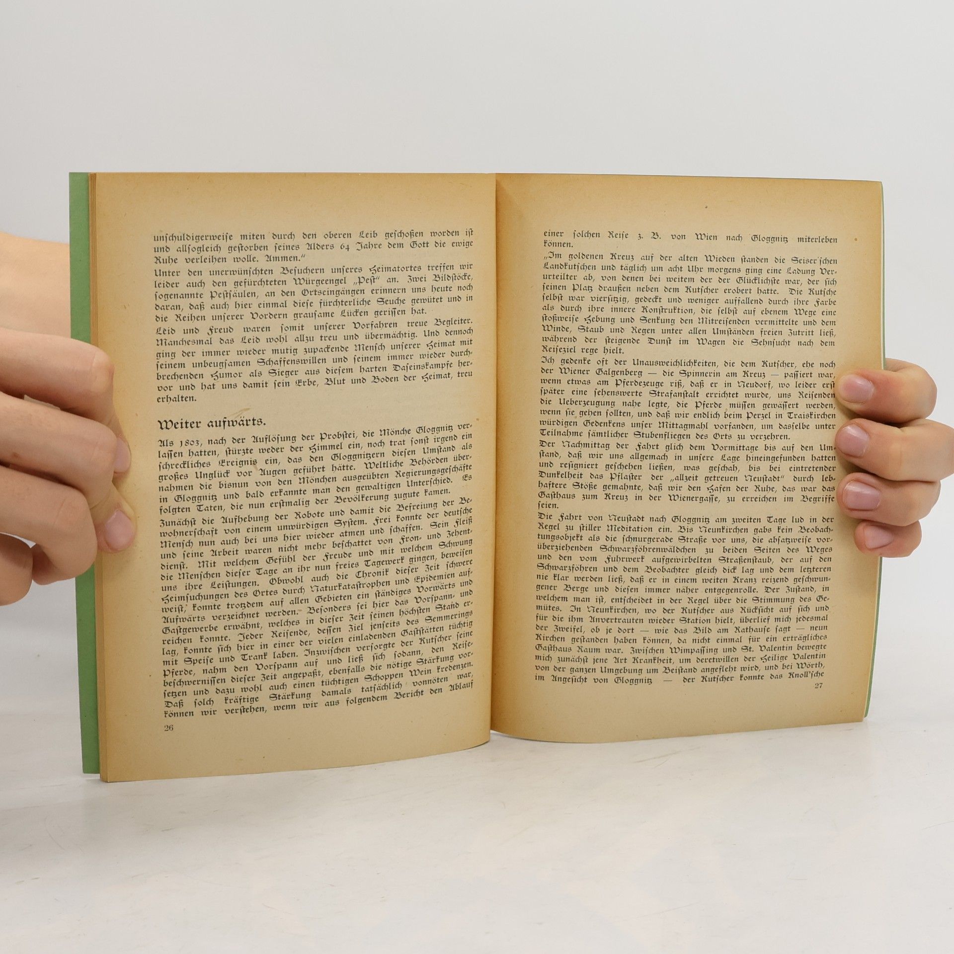 Hans Hafner Gloggnitz, die Stadt in den Bergen