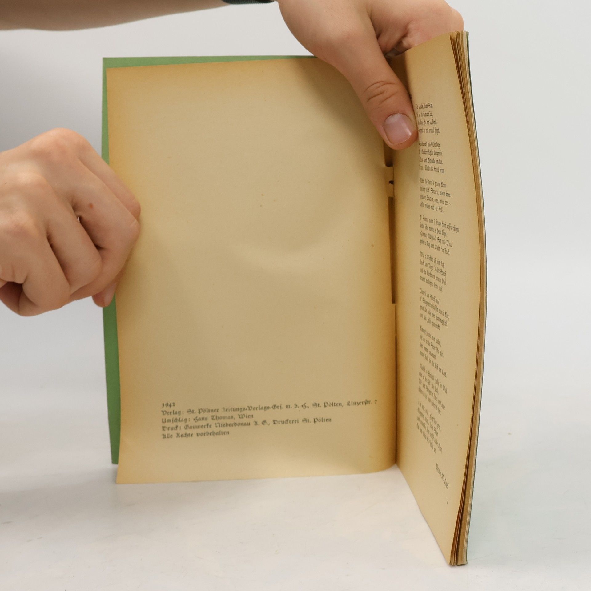 Hans Hafner Gloggnitz, die Stadt in den Bergen