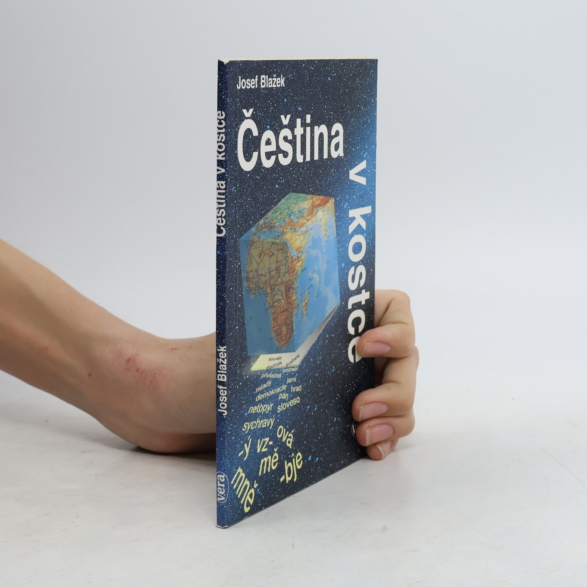 Čeština v kostce