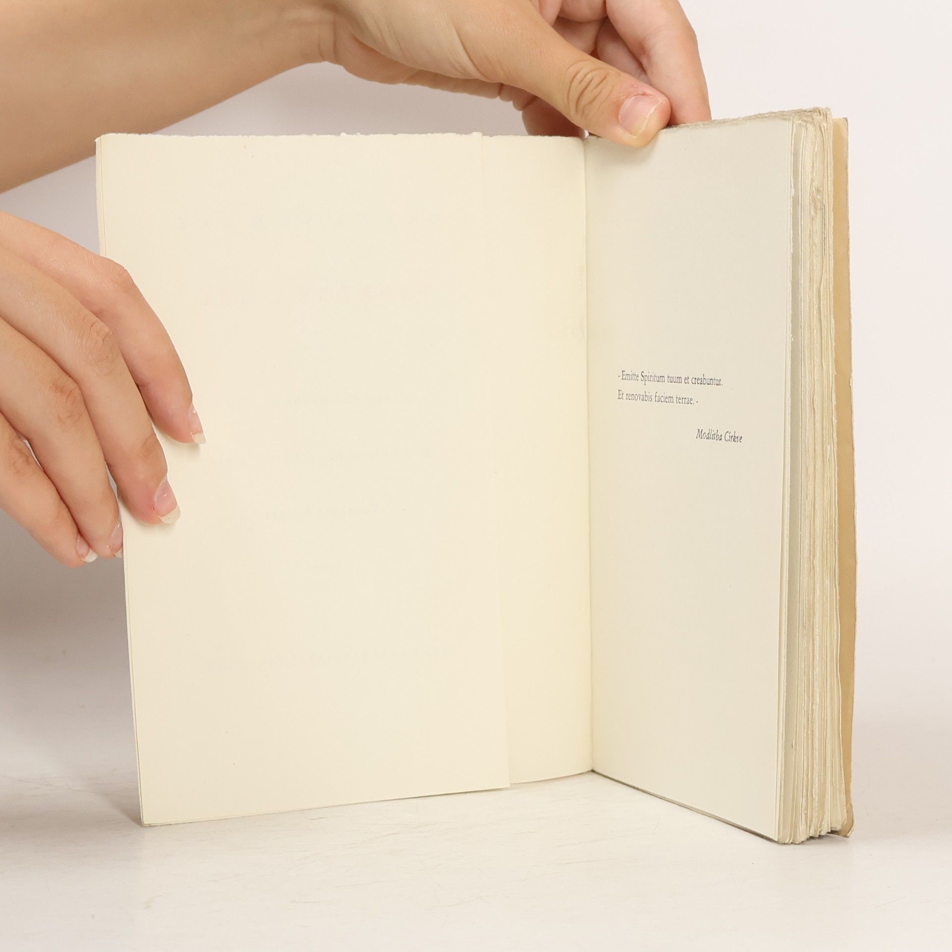Karel Schulz Papežská mše. Fragment druhého dílu michelangelovské trilogie Kámen a bolest
