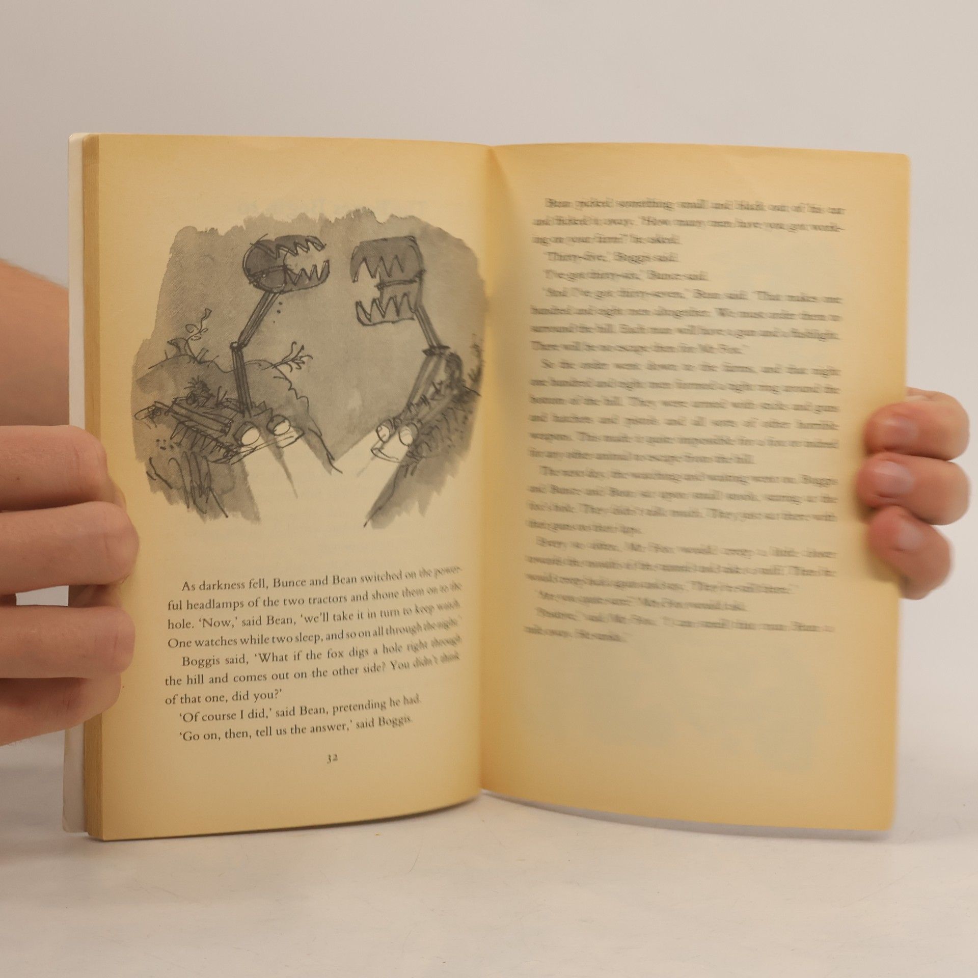 Roald Dahl Fantastic Mr Fox