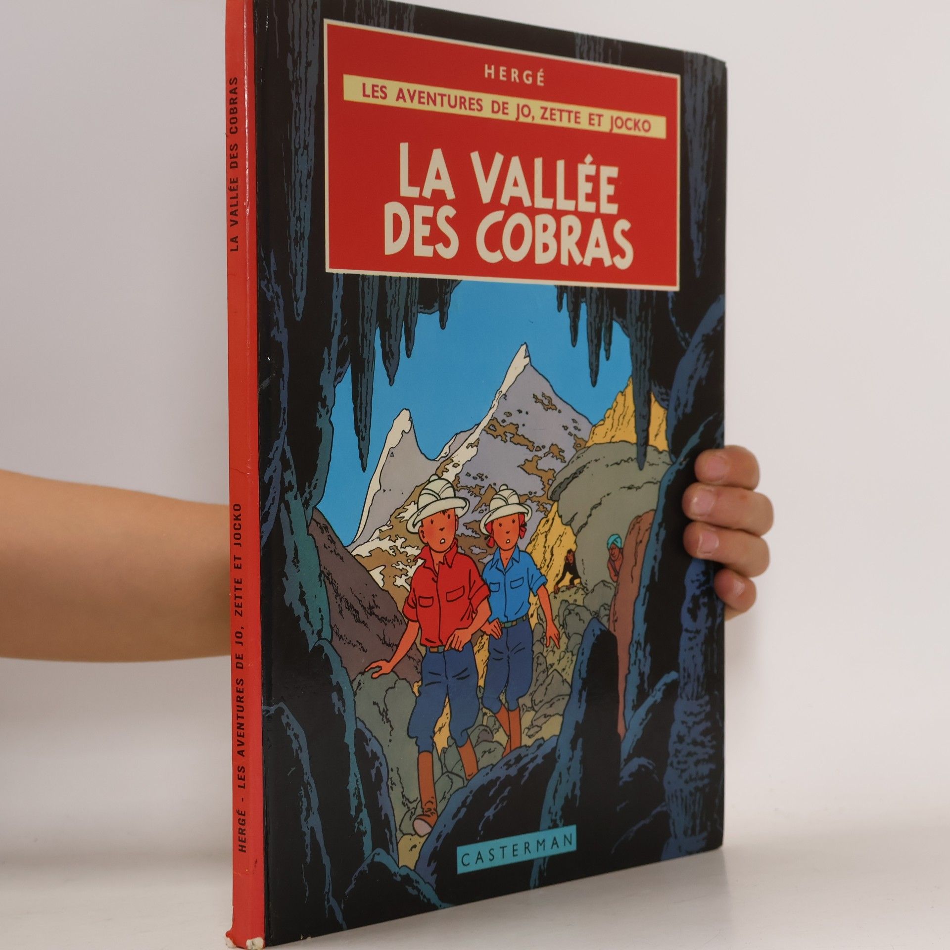La Vallée des cobras
