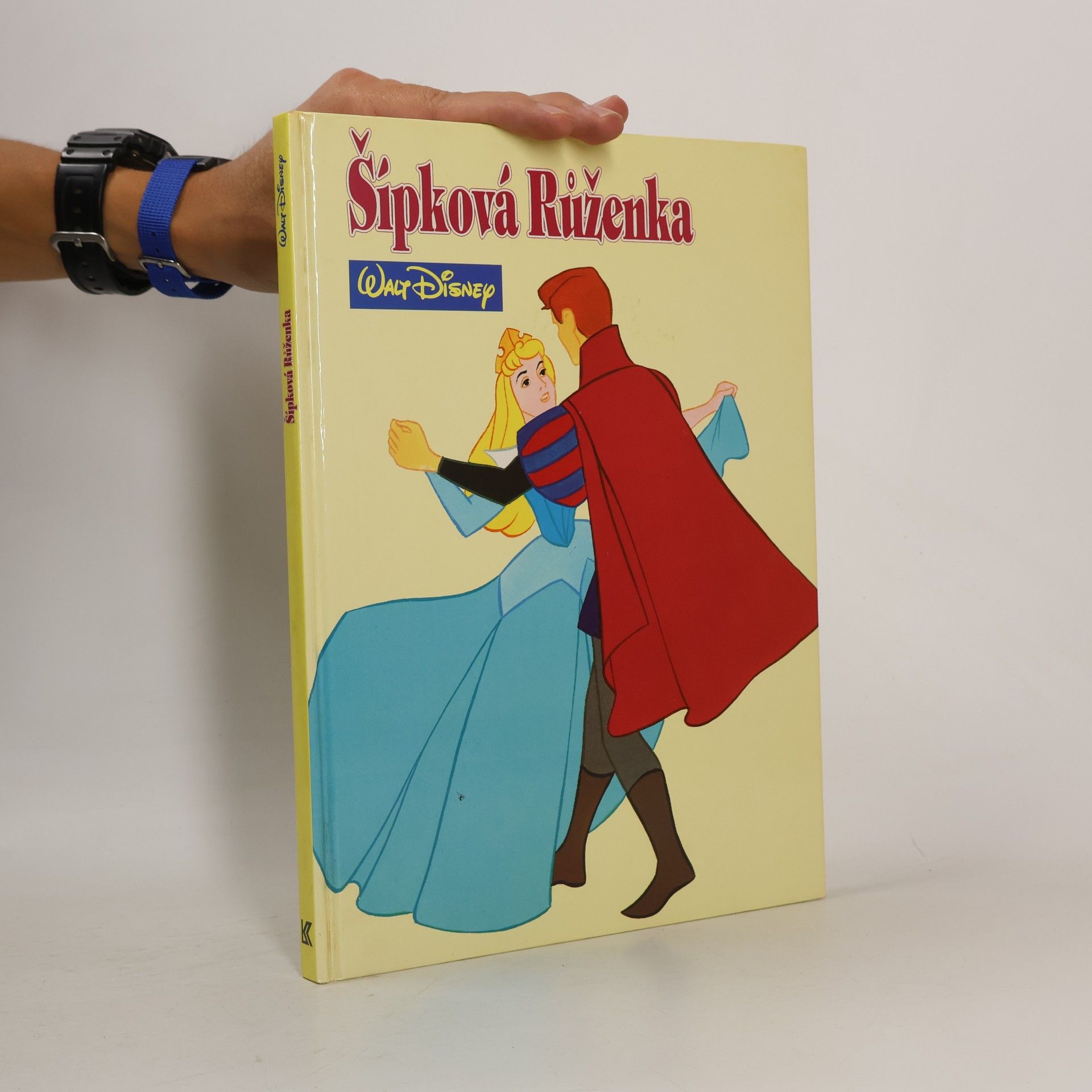 Walt Disney Šípková Růženka