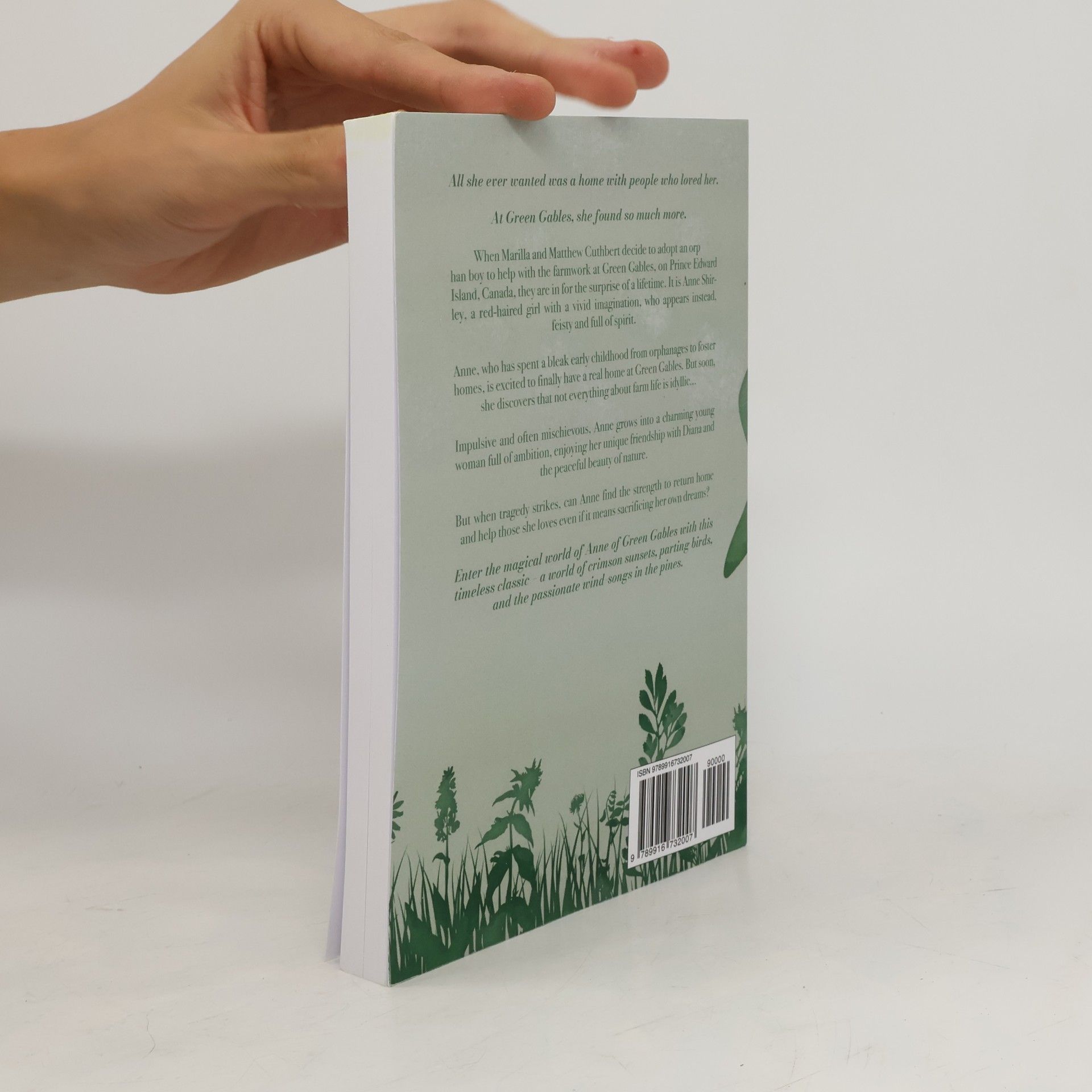 Lucy Maud Montgomery Anne of Green Gables (Illustrated): The 1908 Classic Edition with Original Illustrations