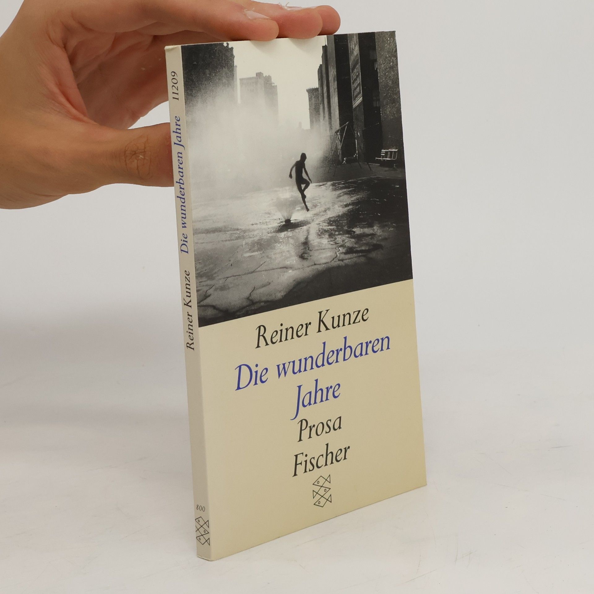 Reiner Kunze Die wunderbaren Jahre