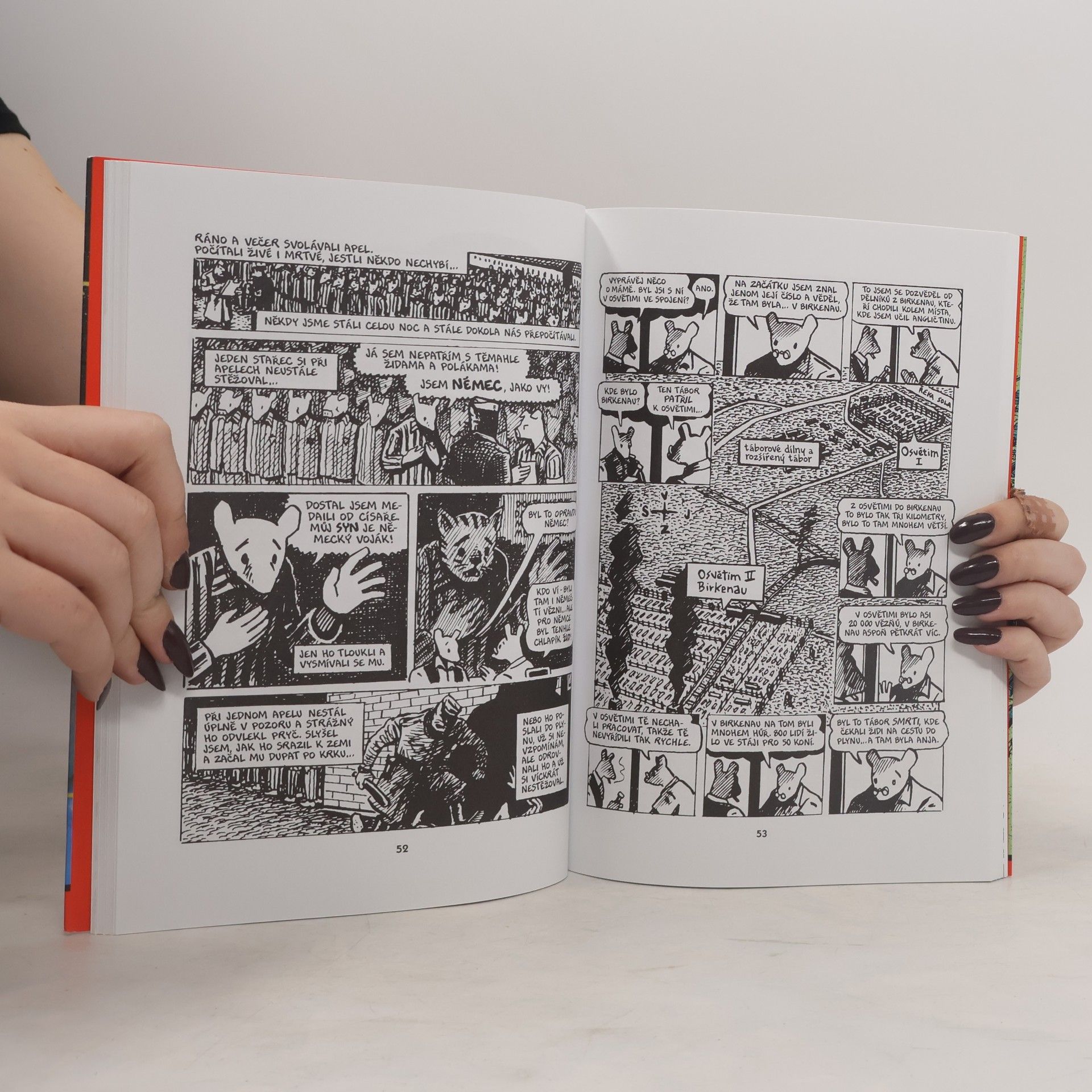 Art Spiegelman Maus. Příběh očitého svědka. II, A tady začalo moje trápení