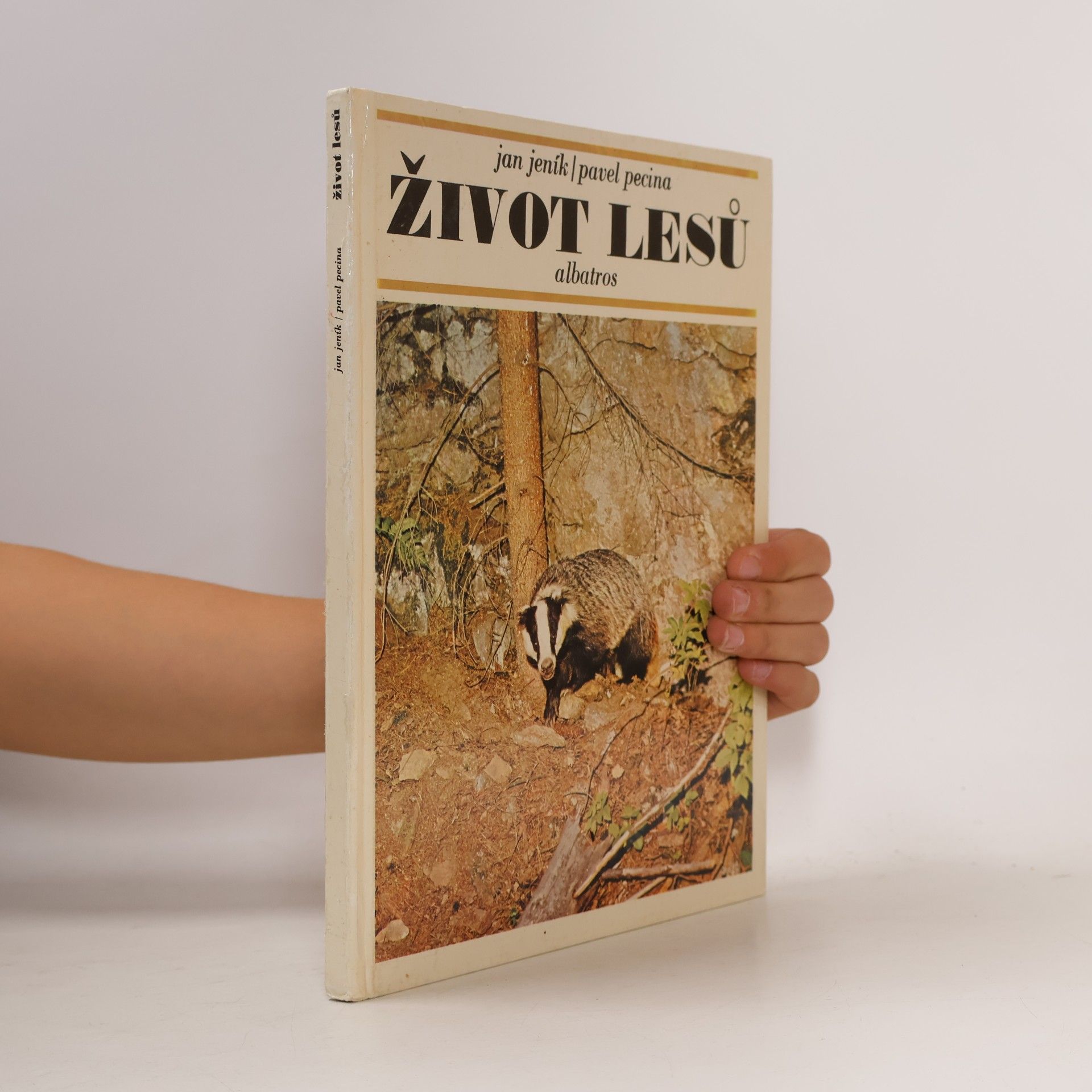 Život lesů