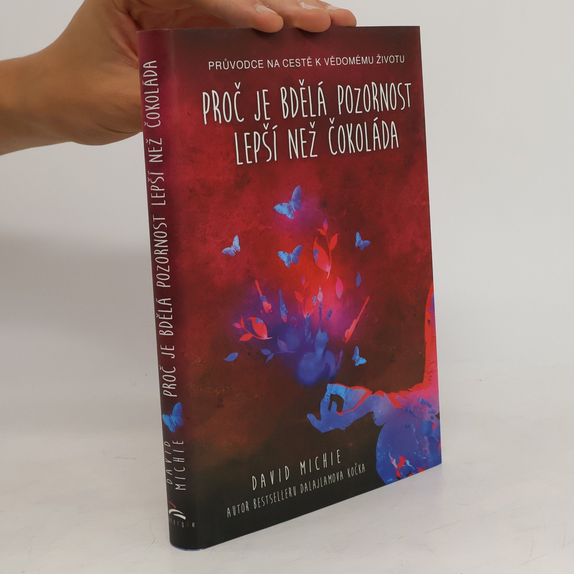 David Michie Proč je bdělá pozornost lepší než čokoláda