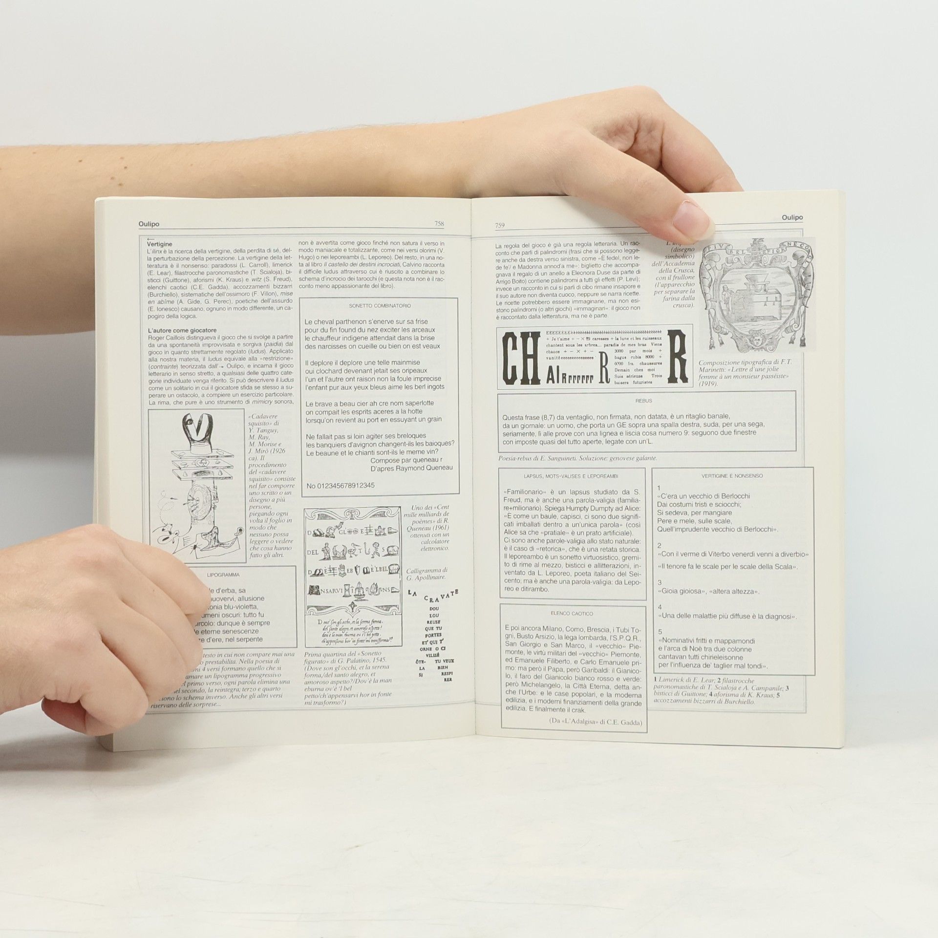Giulia Farina Enciclopedia della letteratura