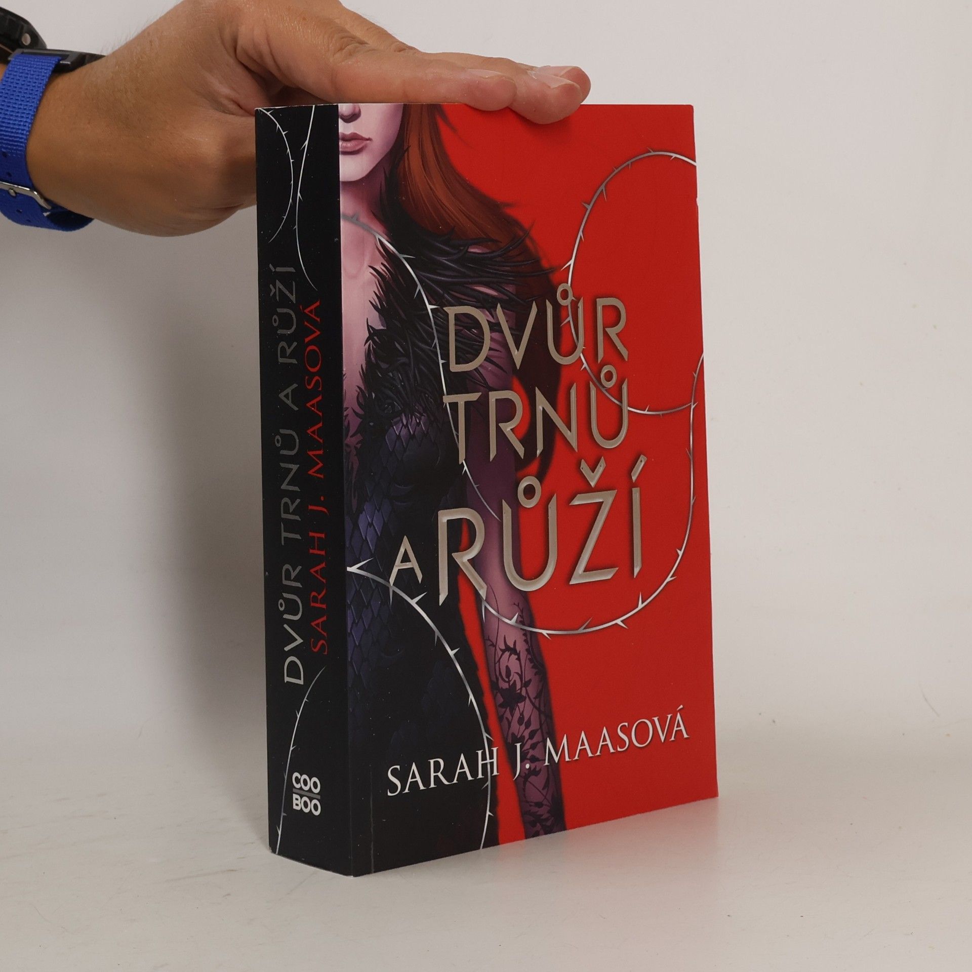 Sarah J. Maas Dvůr trnů a růží