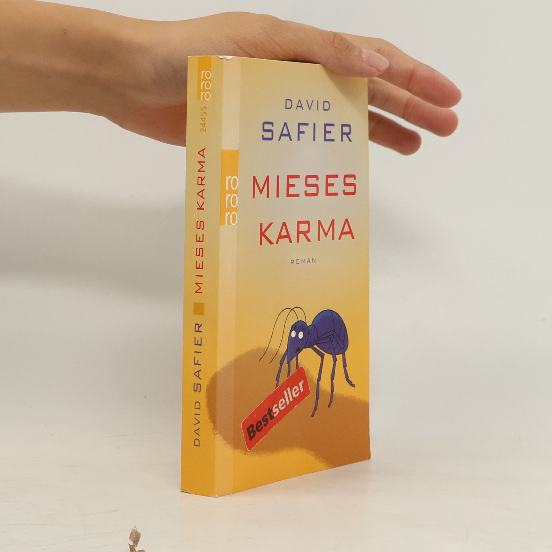 David Safier Mieses Karma