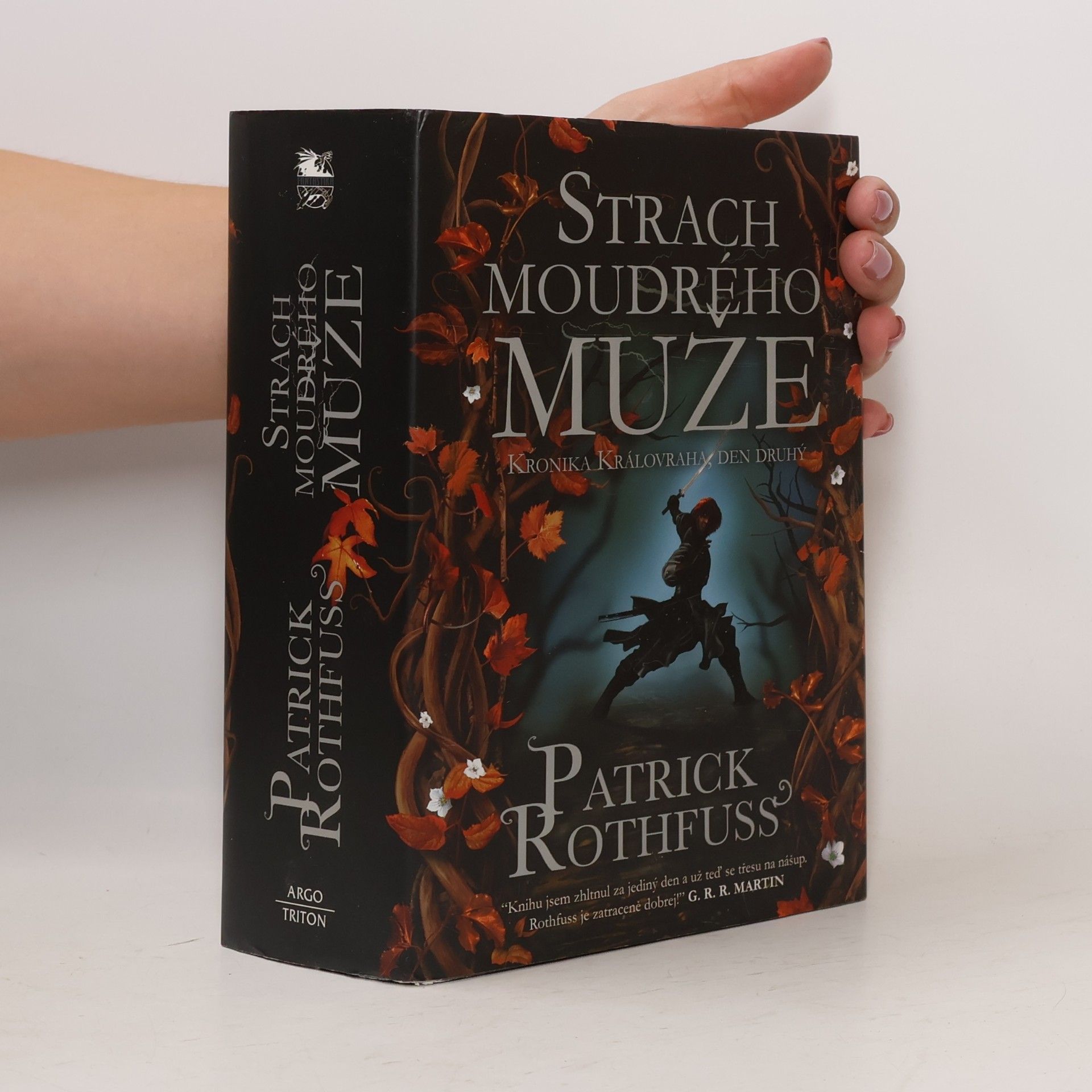 Patrick Rothfuss Strach moudrého muže