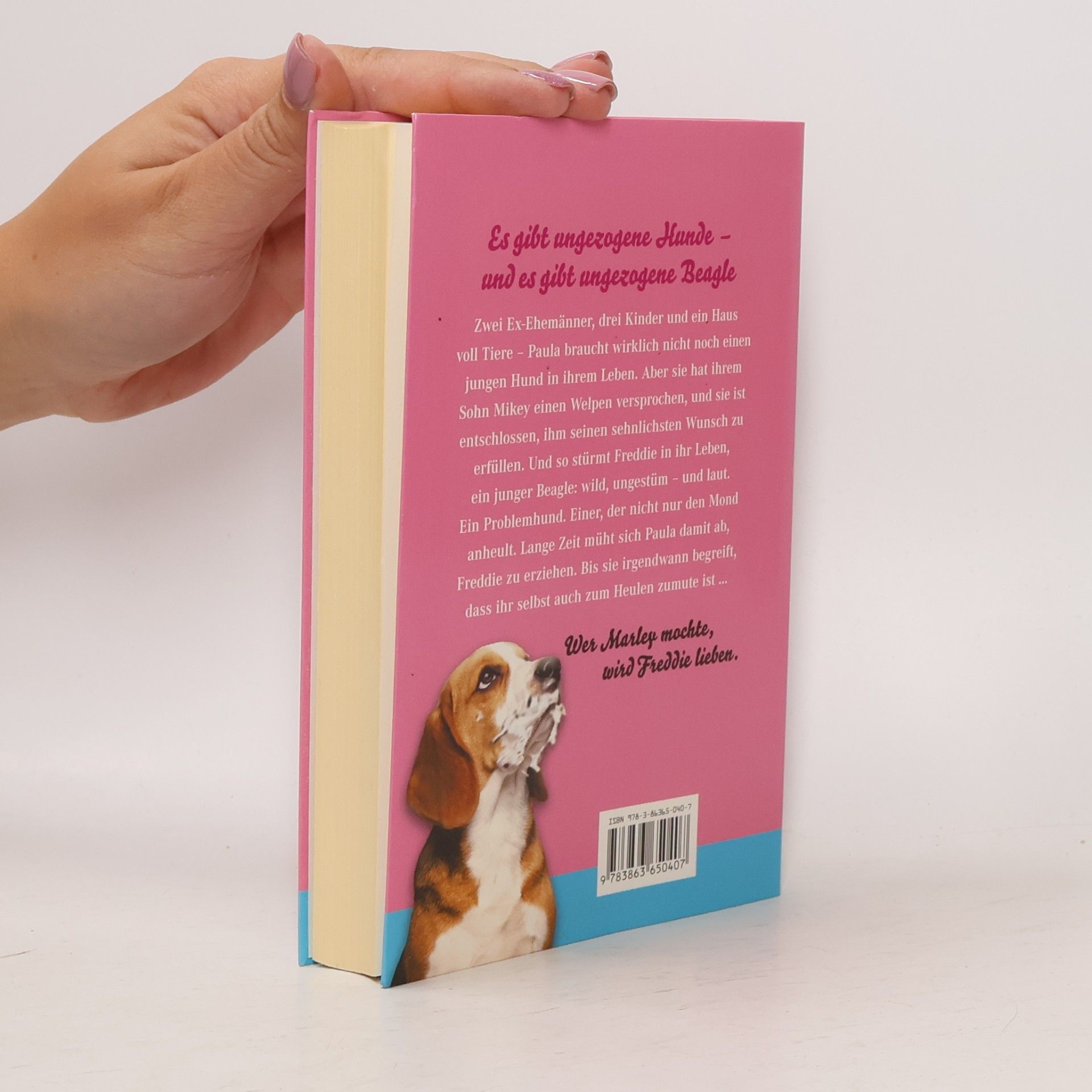 Paula Munier Freddie : ein Beagle räumt auf