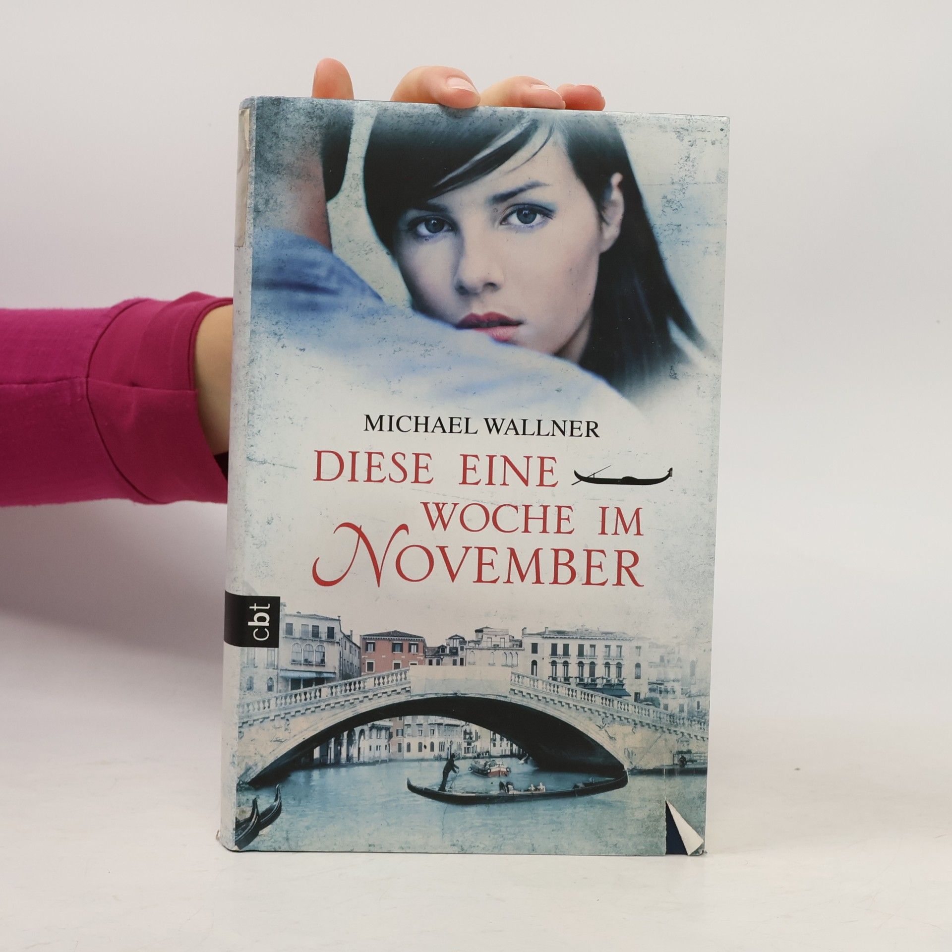 Michael Wallner Diese eine Woche im November
