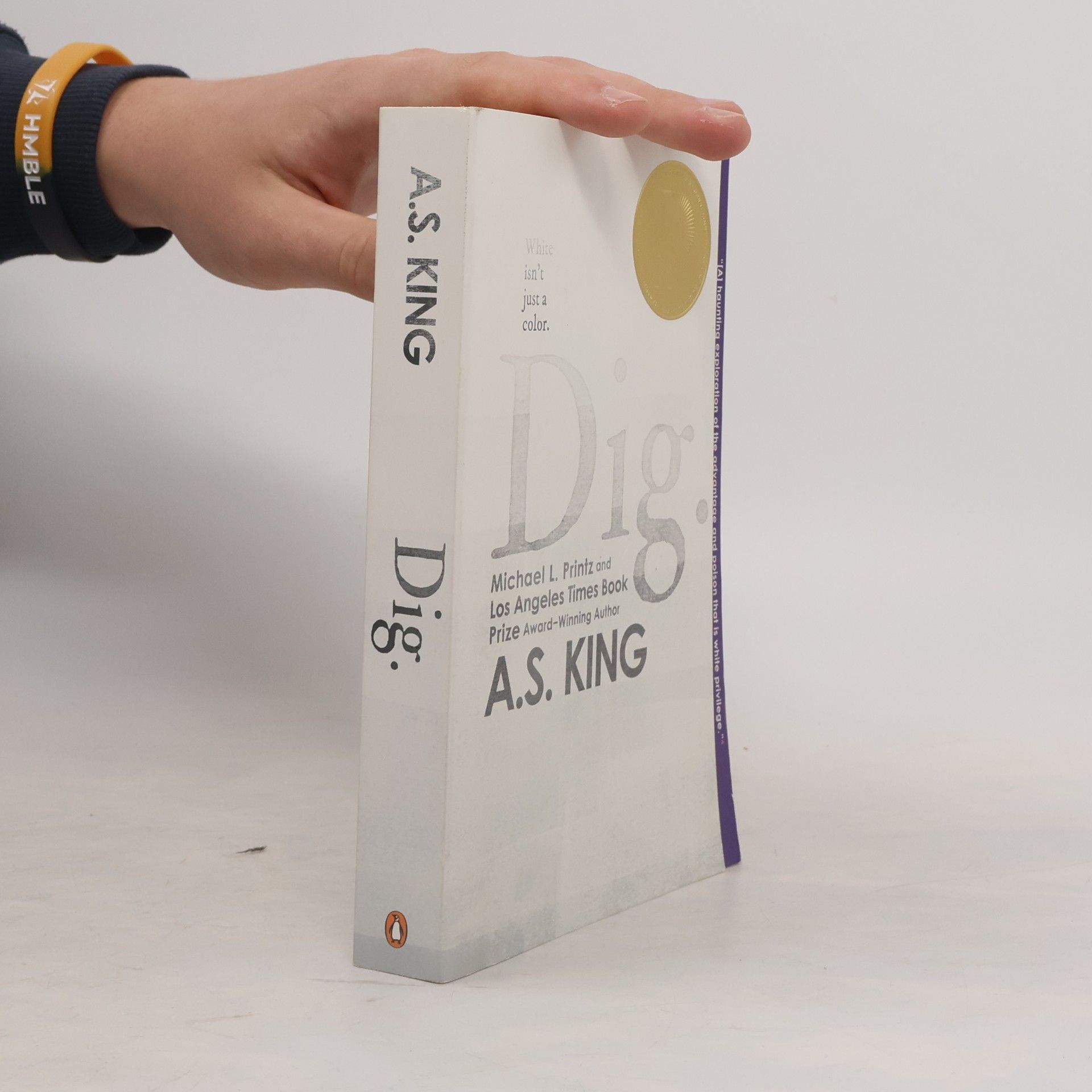 A. S. King Dig