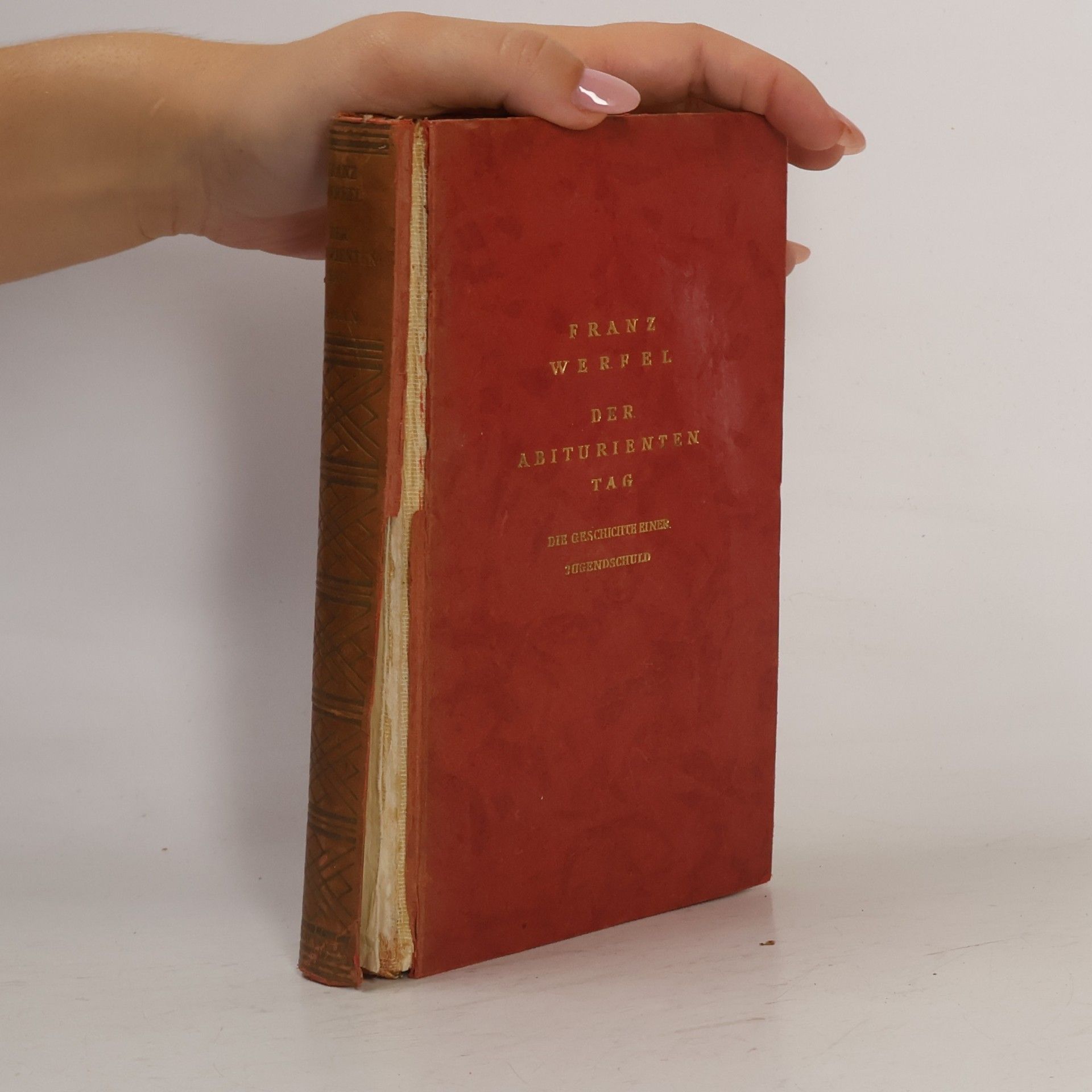Franz Werfel Der Abiturienten Tag