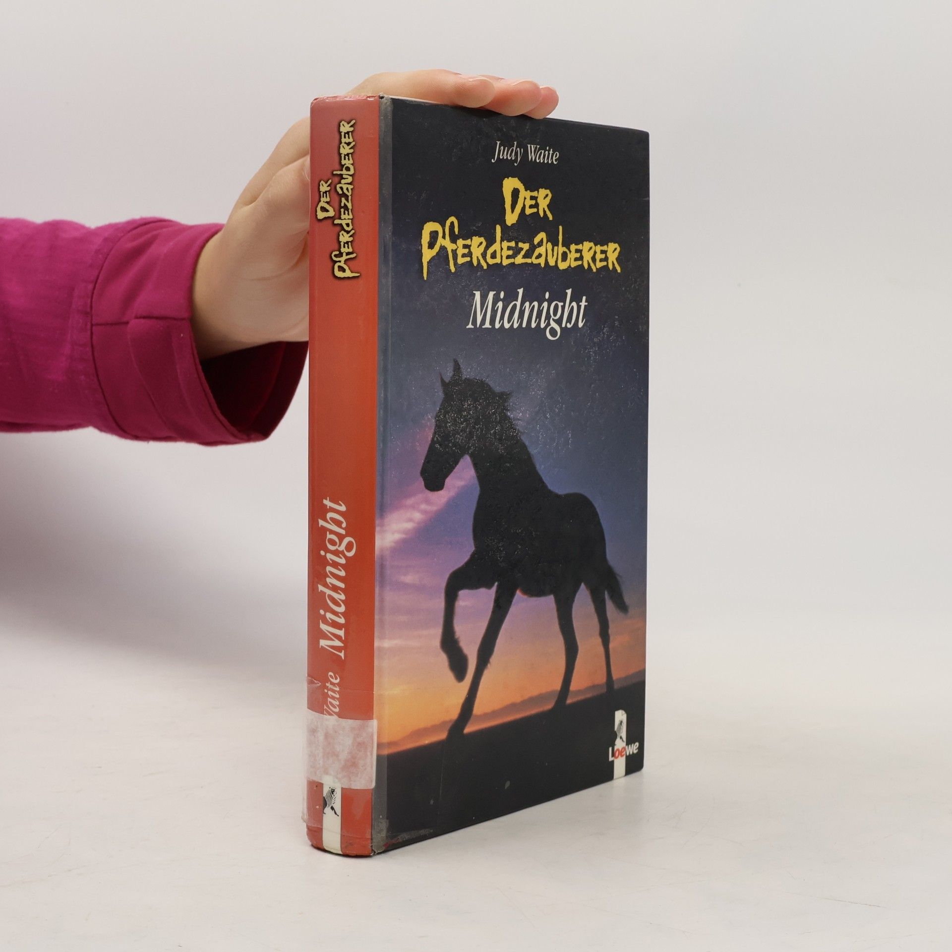 Judy Waite Der Pferdezauberer. Midnight