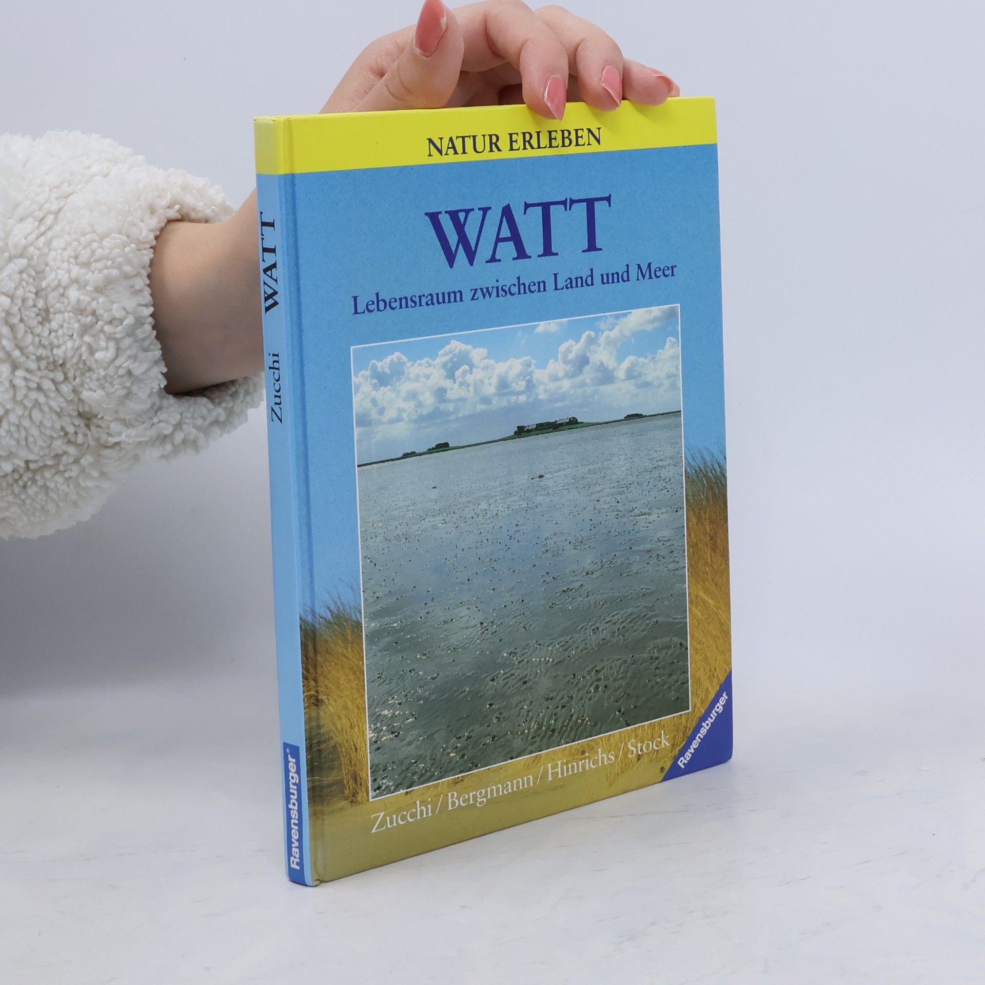 Watt