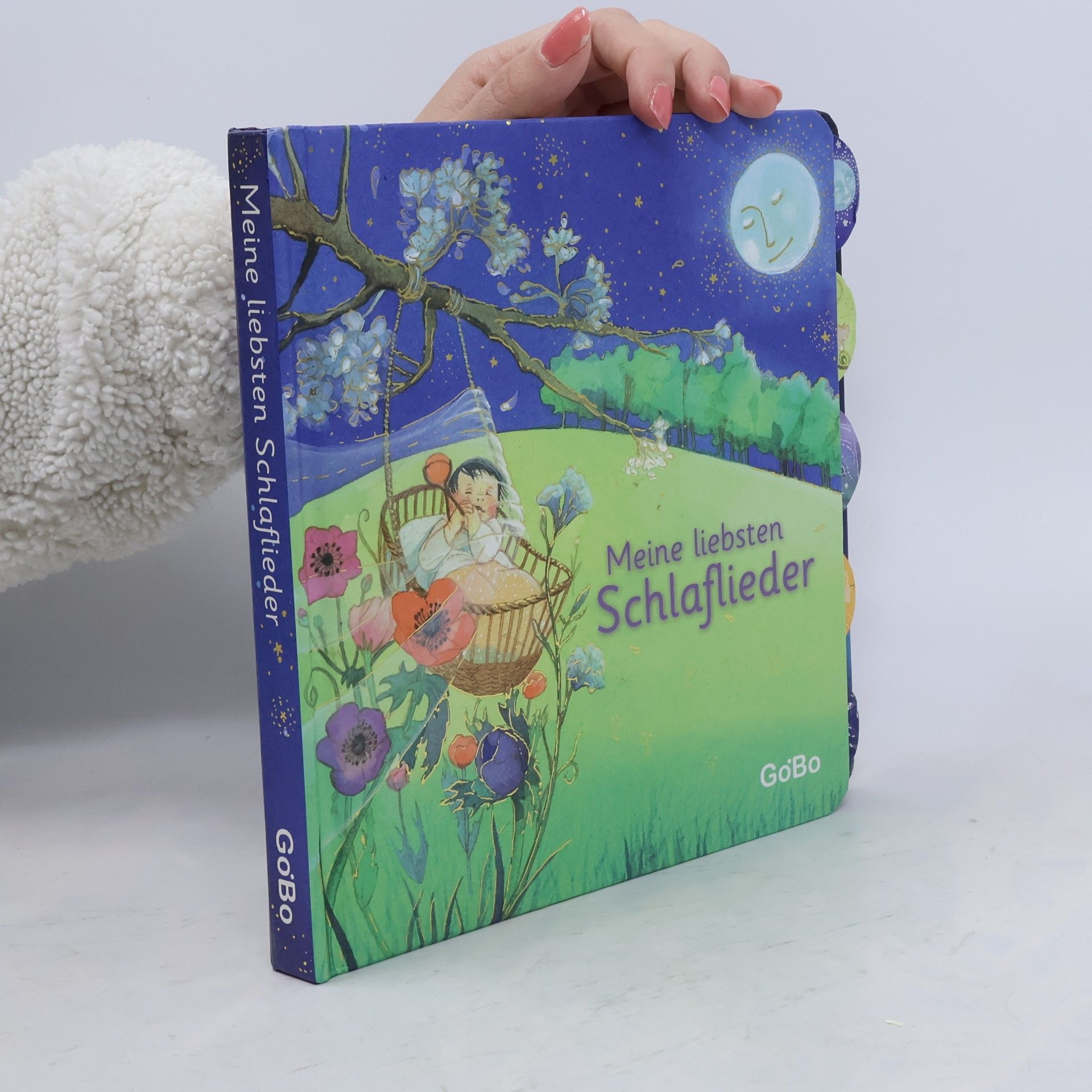 Autores varios Meine liebsten Schlaflieder
