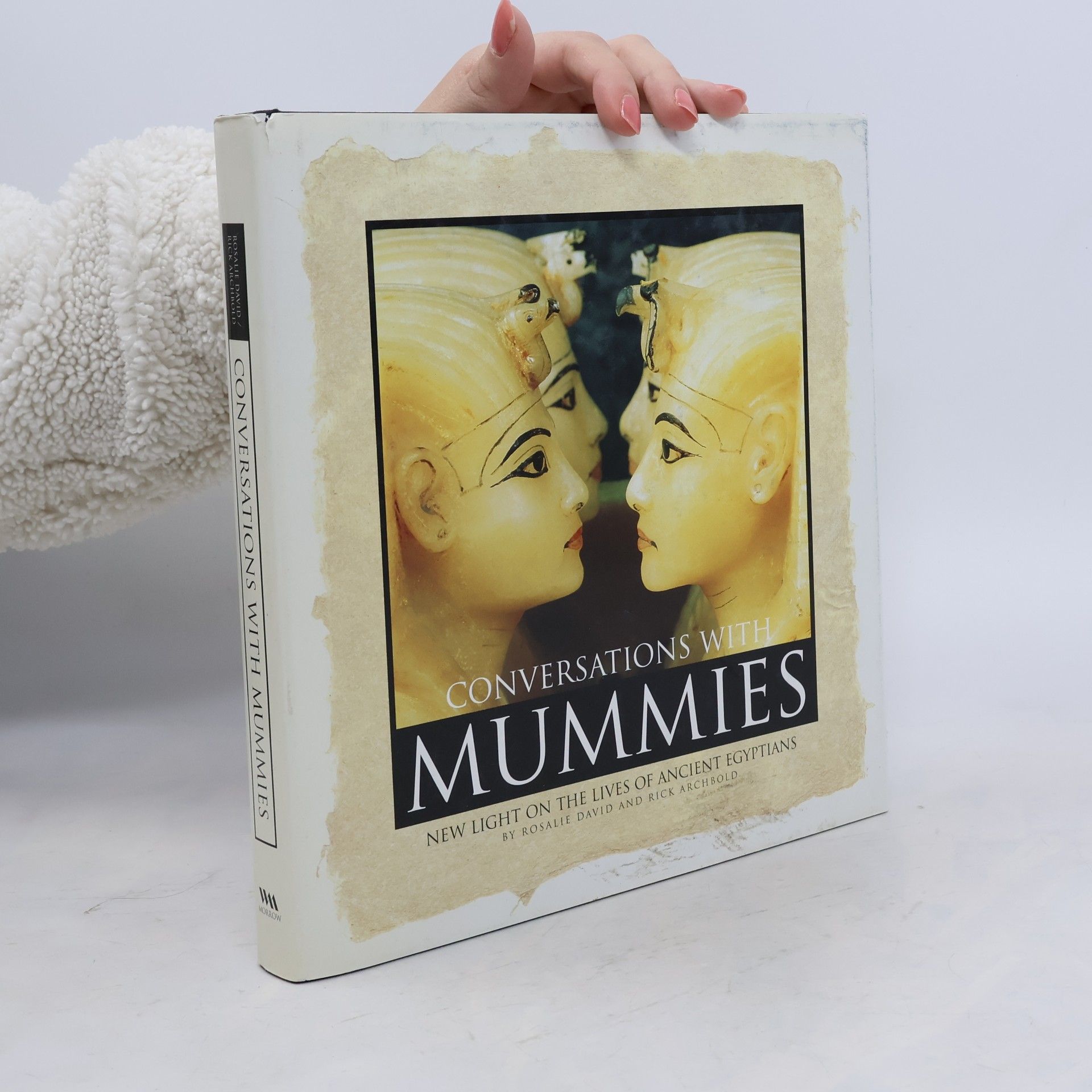 Rosalie David Conversations With Mummies