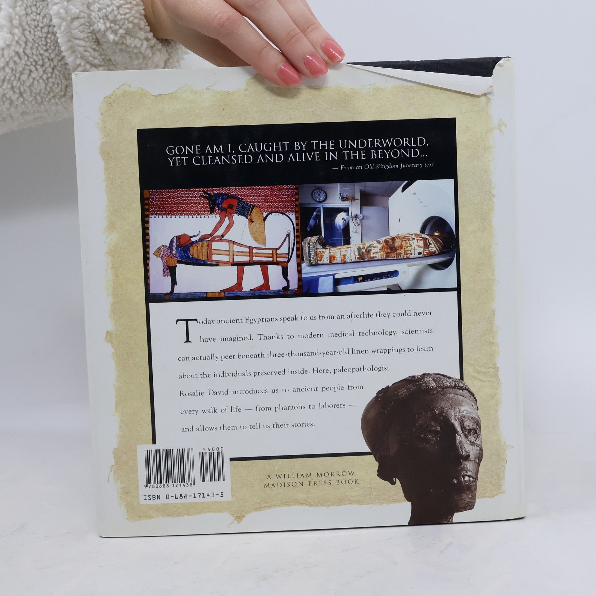 Rick Archbold Conversations With Mummies