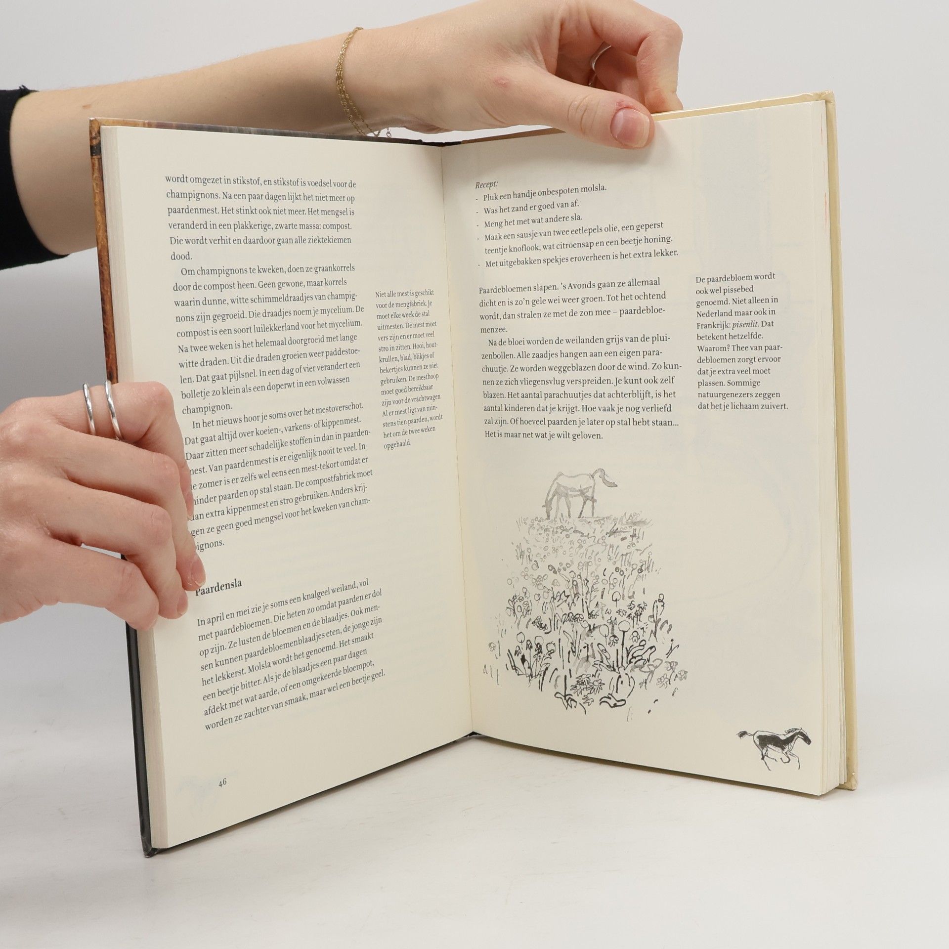 Hans Hagen Het Paardenboek