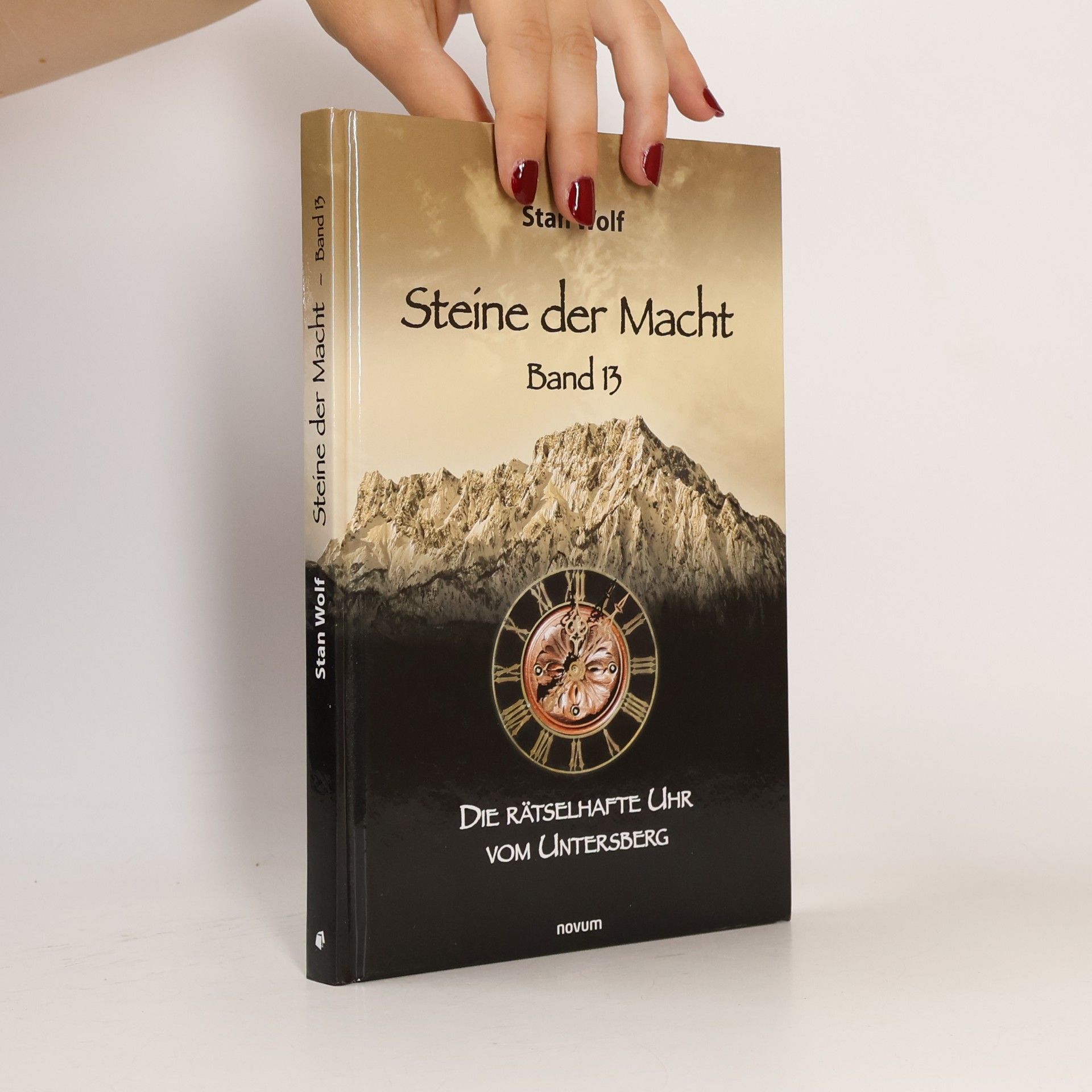 Stan Wolf Steine der Macht - Band 13
