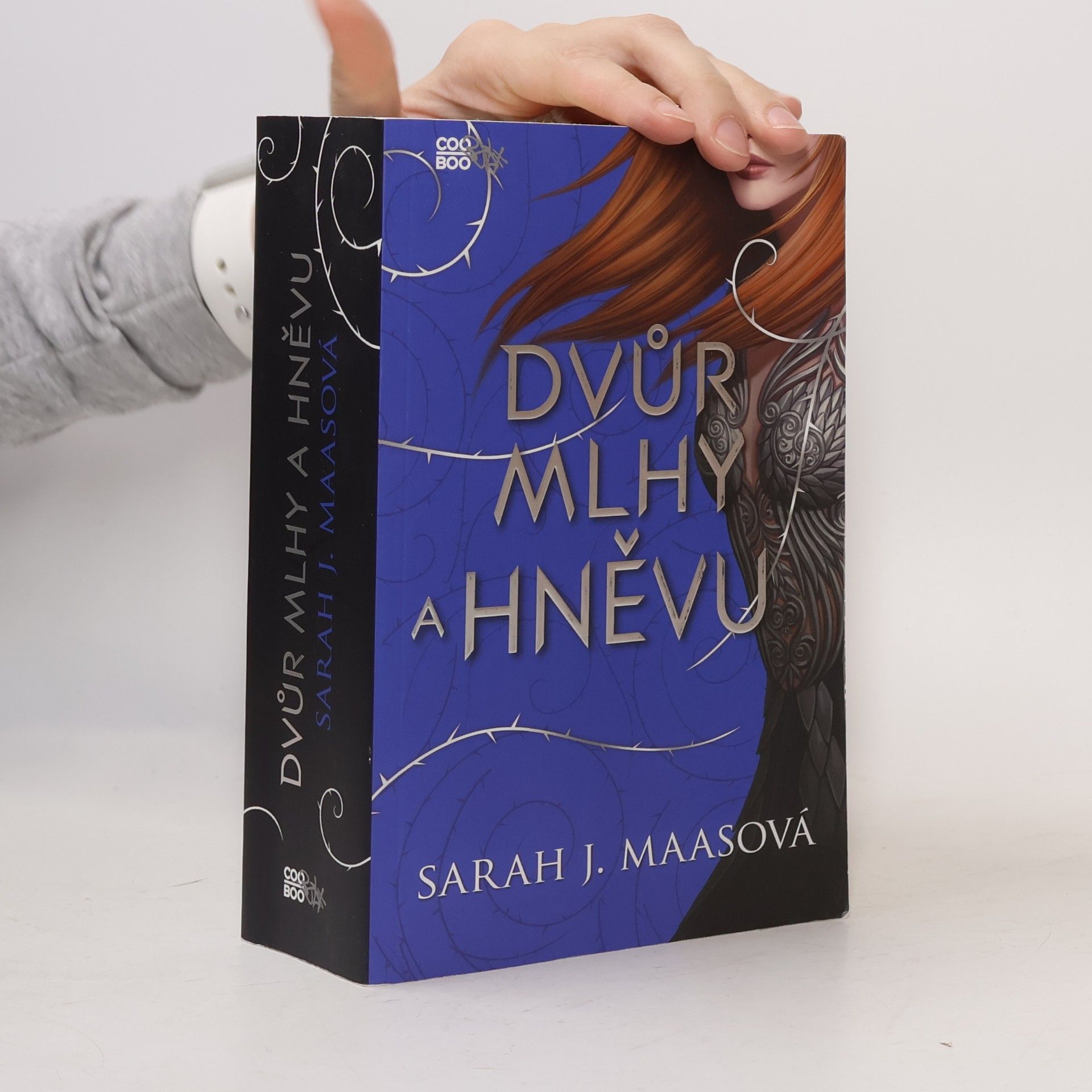 Sarah J. Maas Dvůr mlhy a hněvu