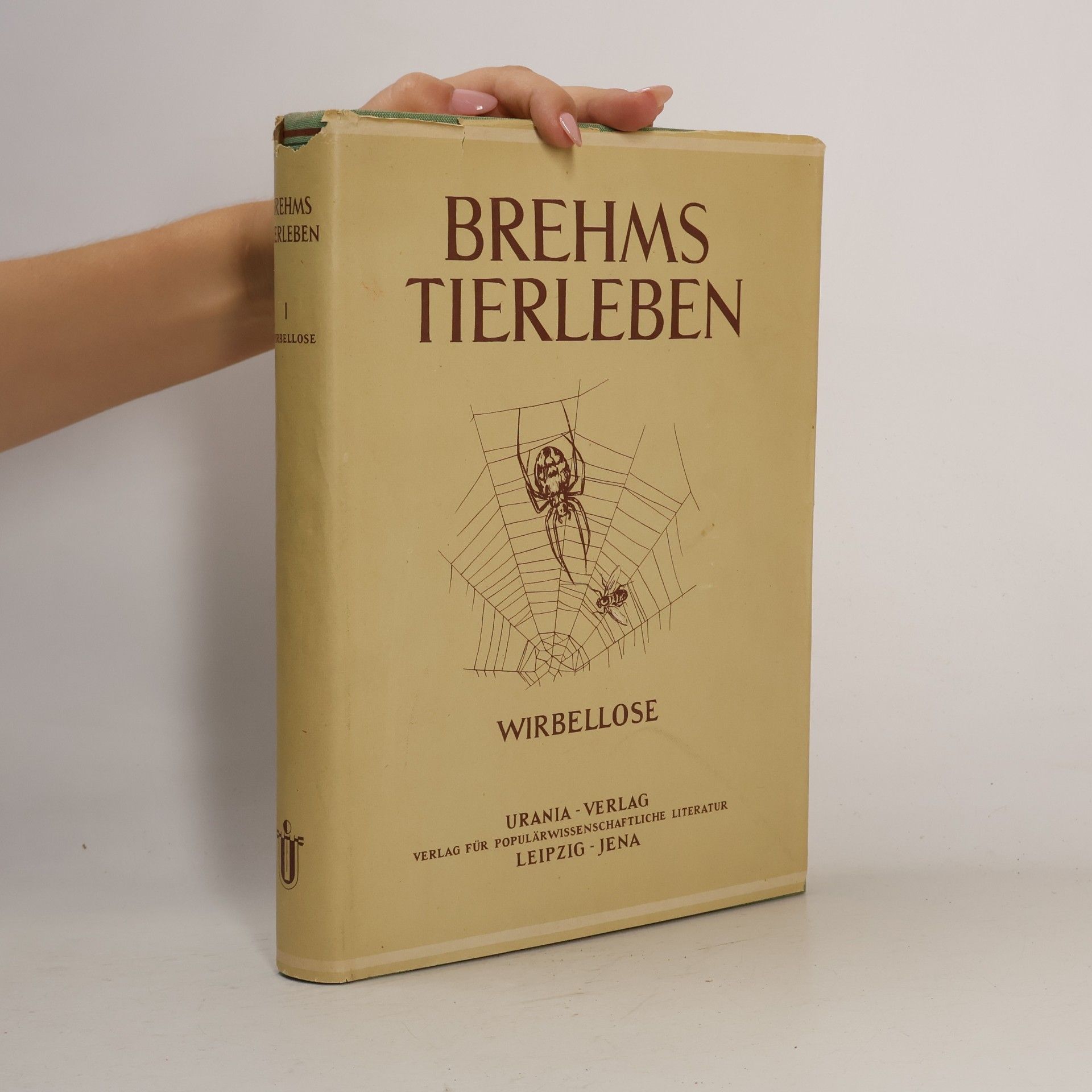 Walter Rammer Brehms Tierleben
