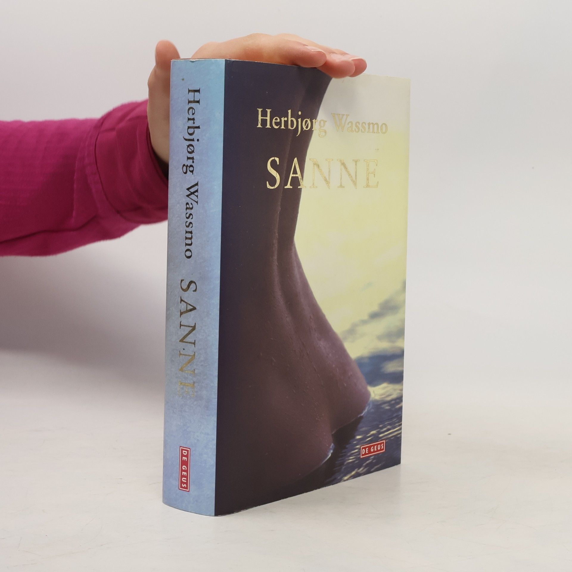 Herbjørg Wassmo Sanne