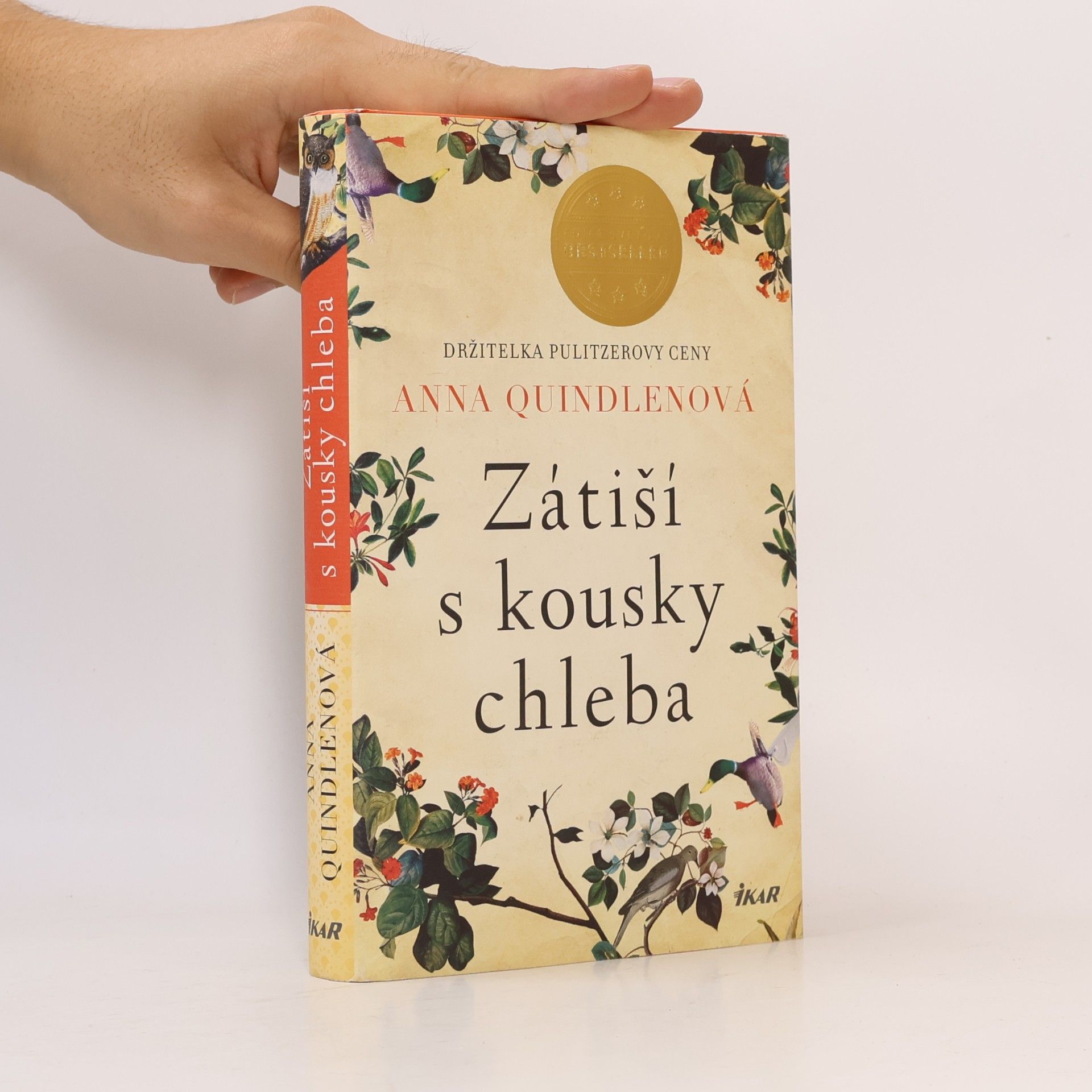 Anna Quindlen Zátiší s kousky chleba