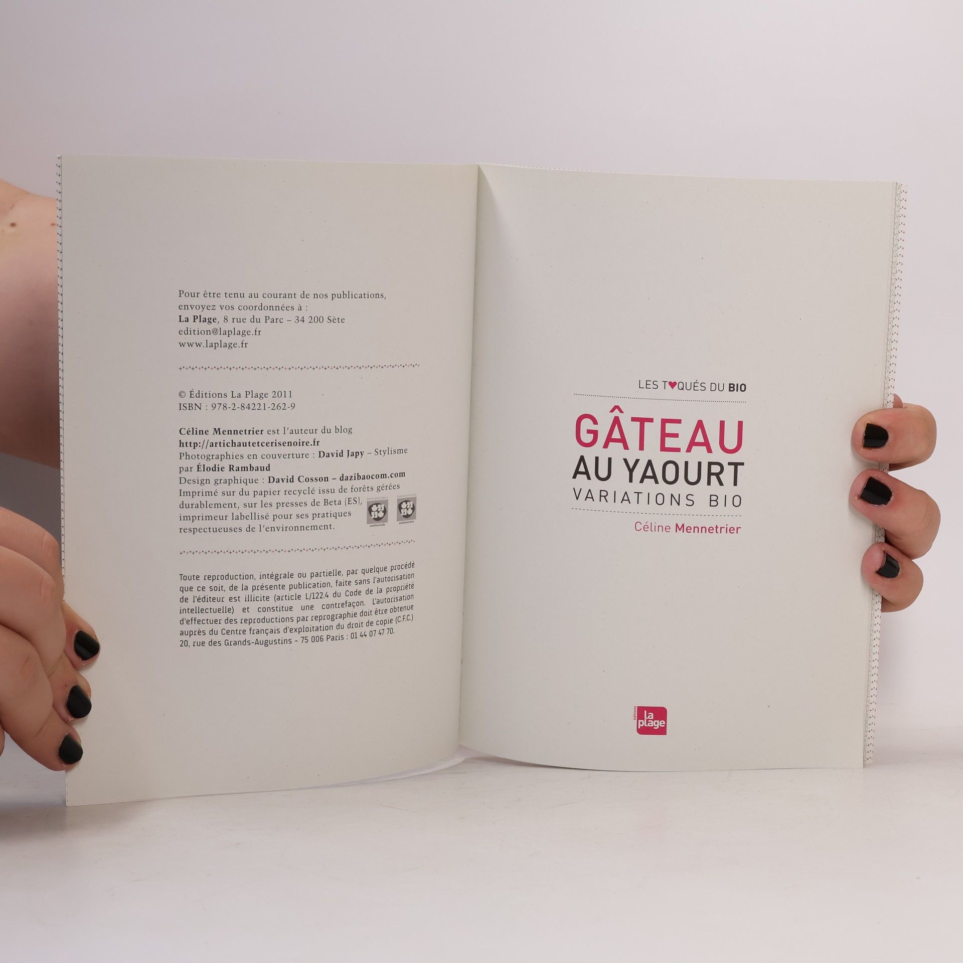 Céline Mennetrier Gâteau au yaourt