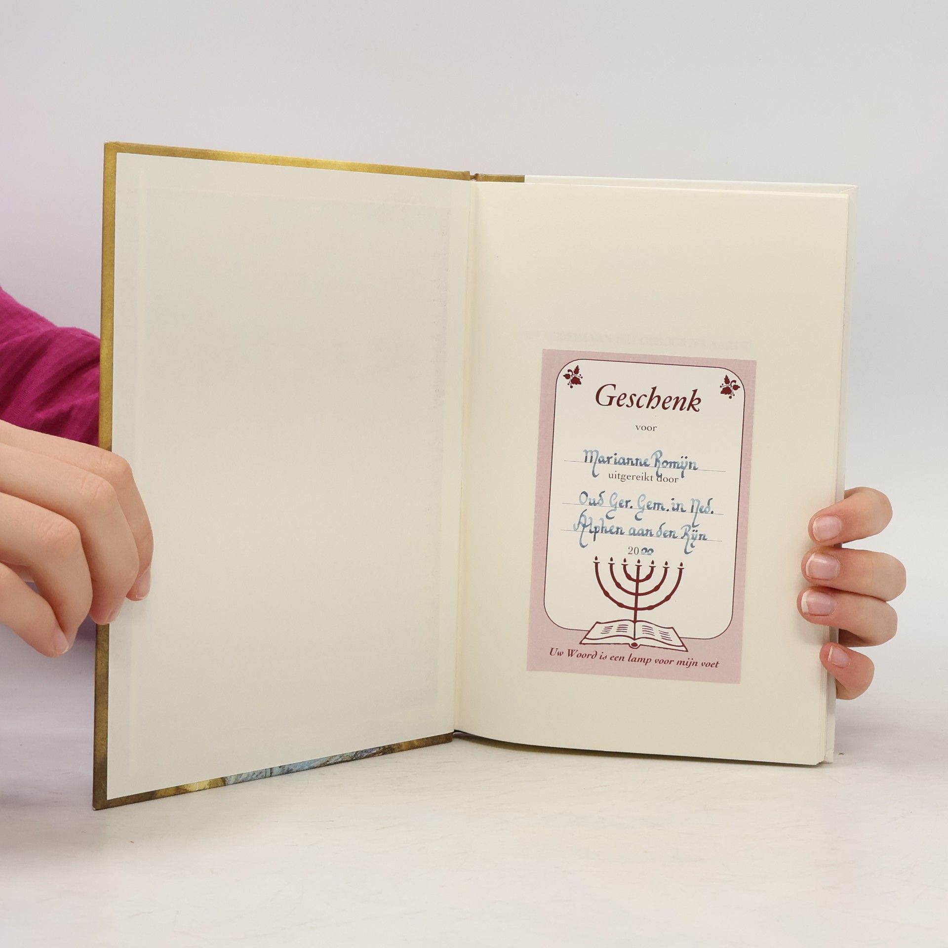 Lena Visser-Oskam Het geheim van het geboortekaartje