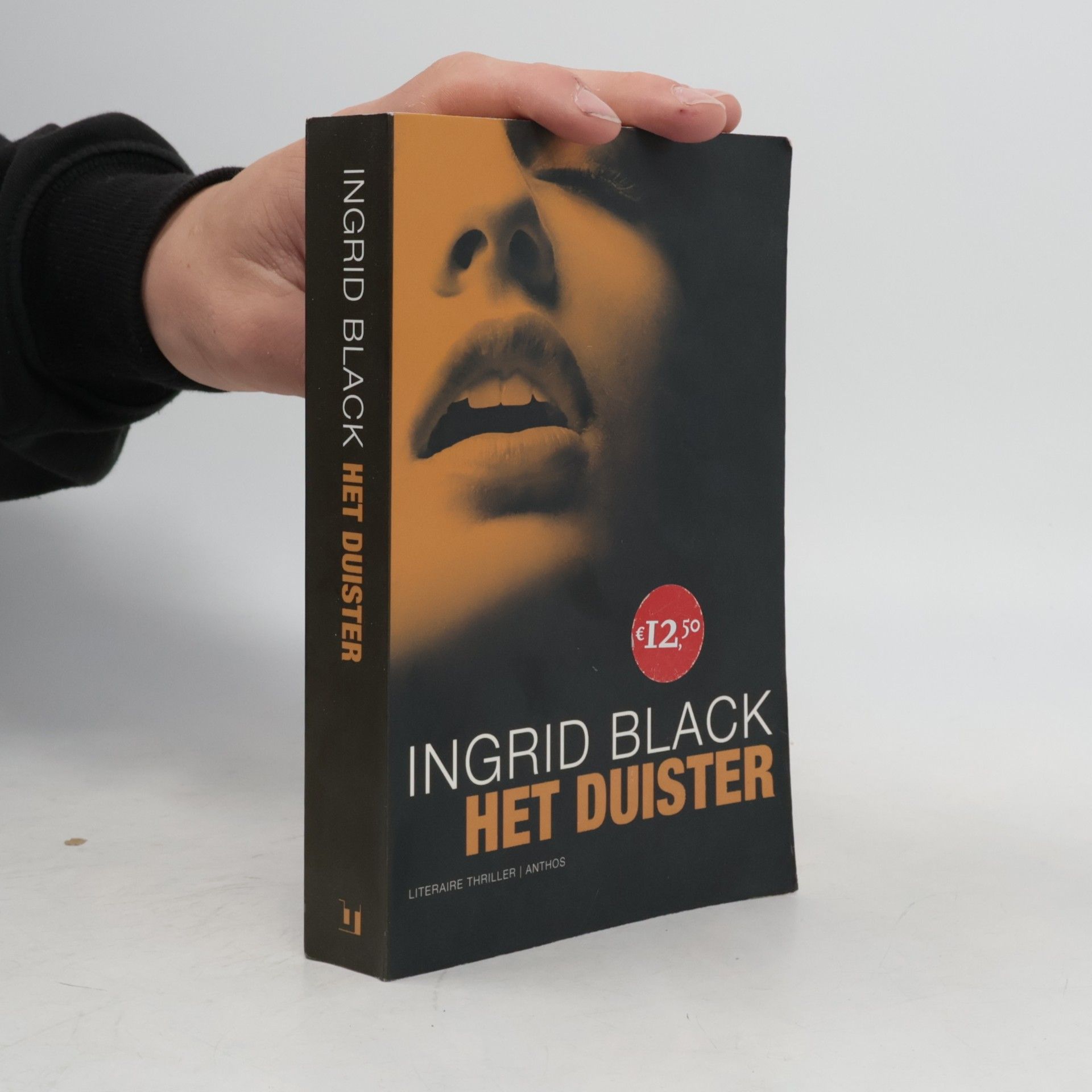 Ingrid Black Het duister