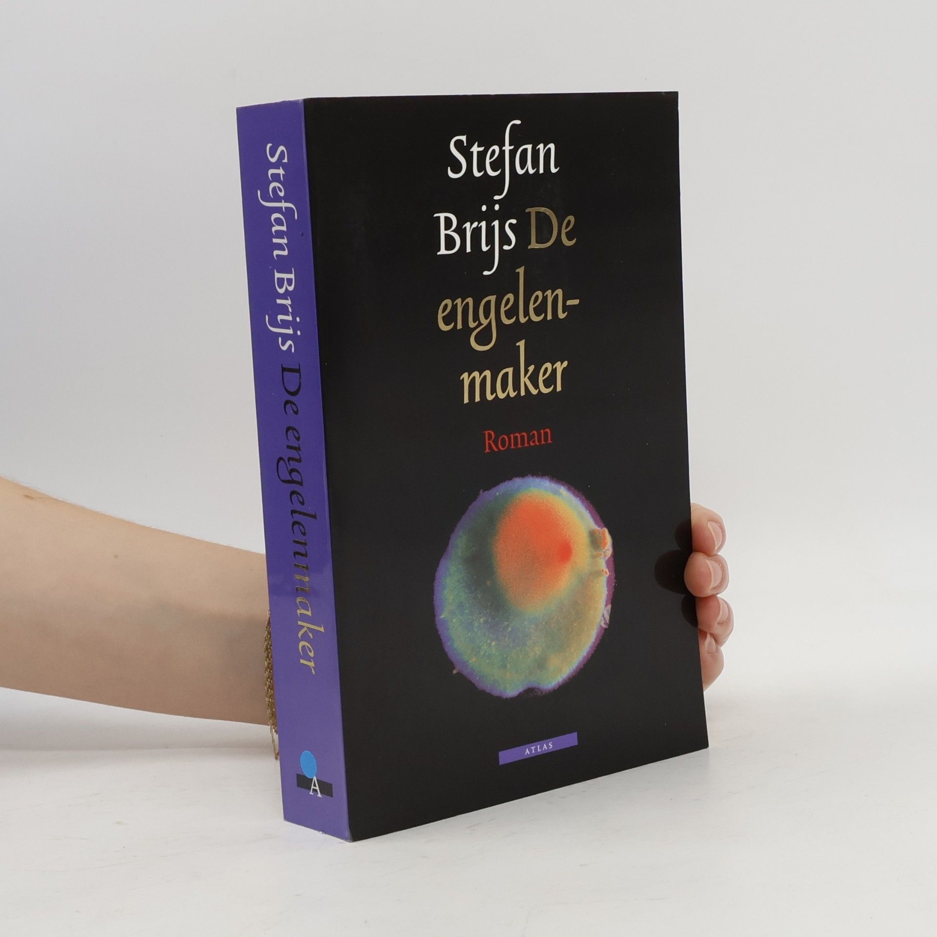 Stefan Brijs De engelenmaker